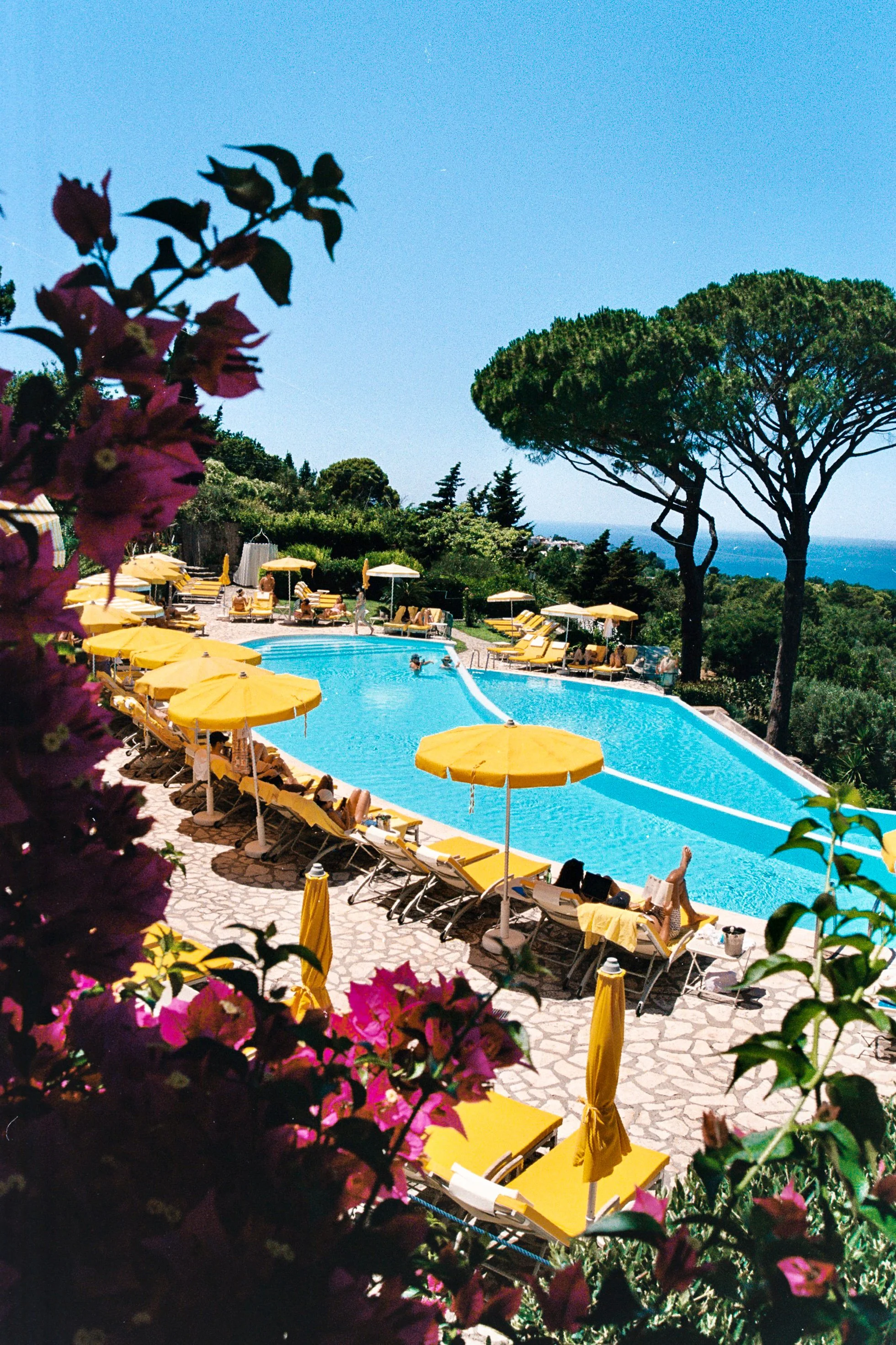 A swimming pool area with yellow umbrellas and lounge chairs, surrounded by trees and greenery, under a clear blue sky.