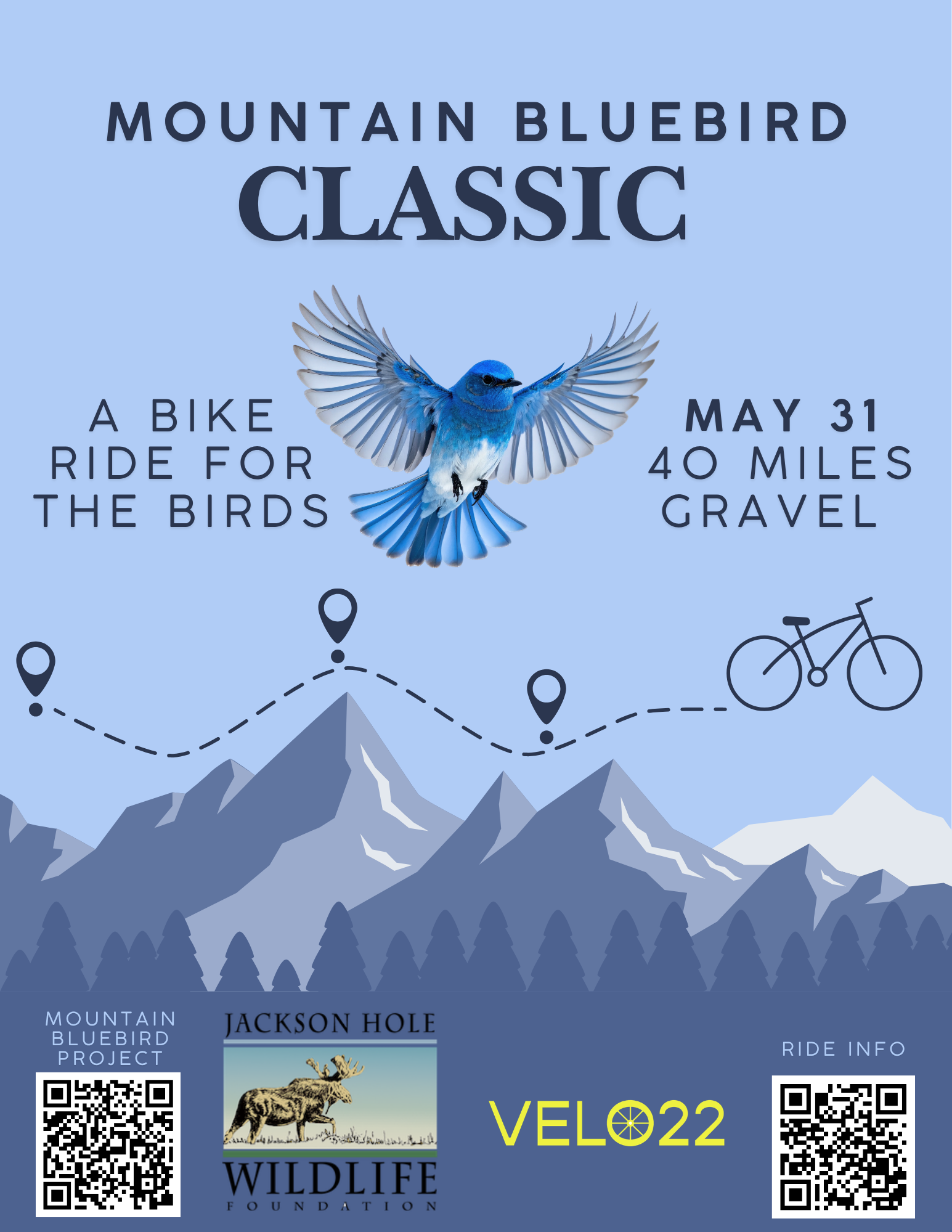 Bluebird Classic