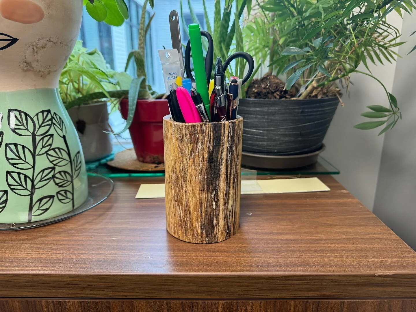 Spalted ash