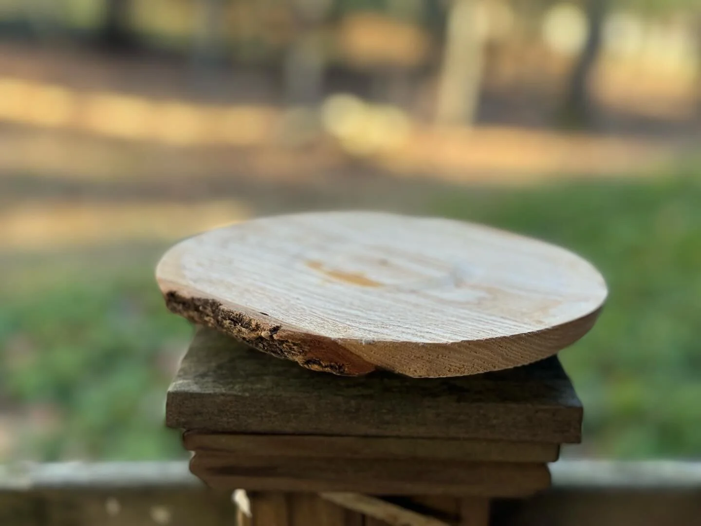 Nice when you can turn an off-cut into something useful. Bark inclusion hot pad.