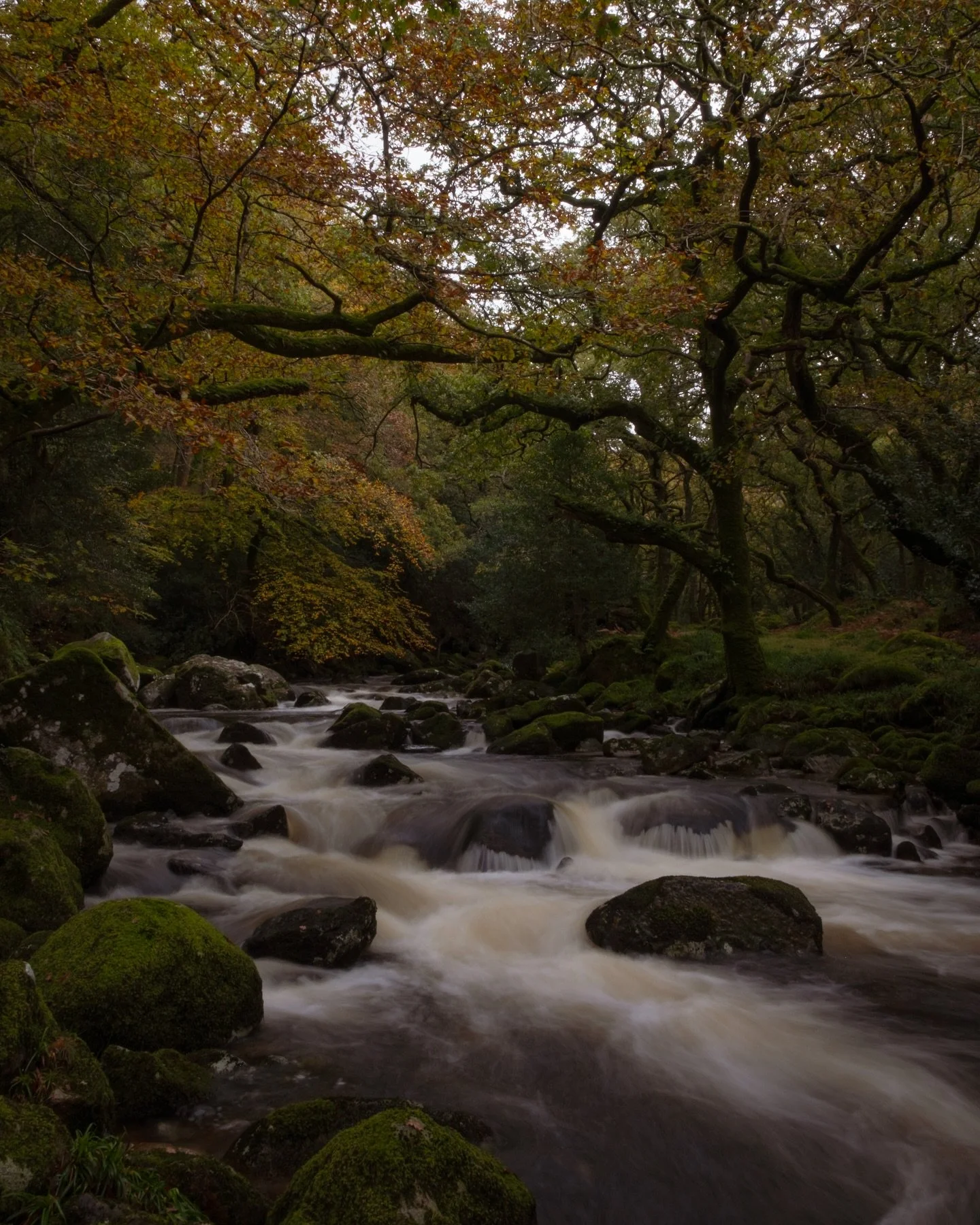 🍂🍁𝒜 𝒸𝒶𝓇𝑜𝓊𝓈𝑒𝓁 𝑜𝒻 𝒶𝓊𝓉𝓊𝓂𝓃 🍁🍂

A selection of some autumnal scenes from Dartmoor to enjoy on this stormy day.