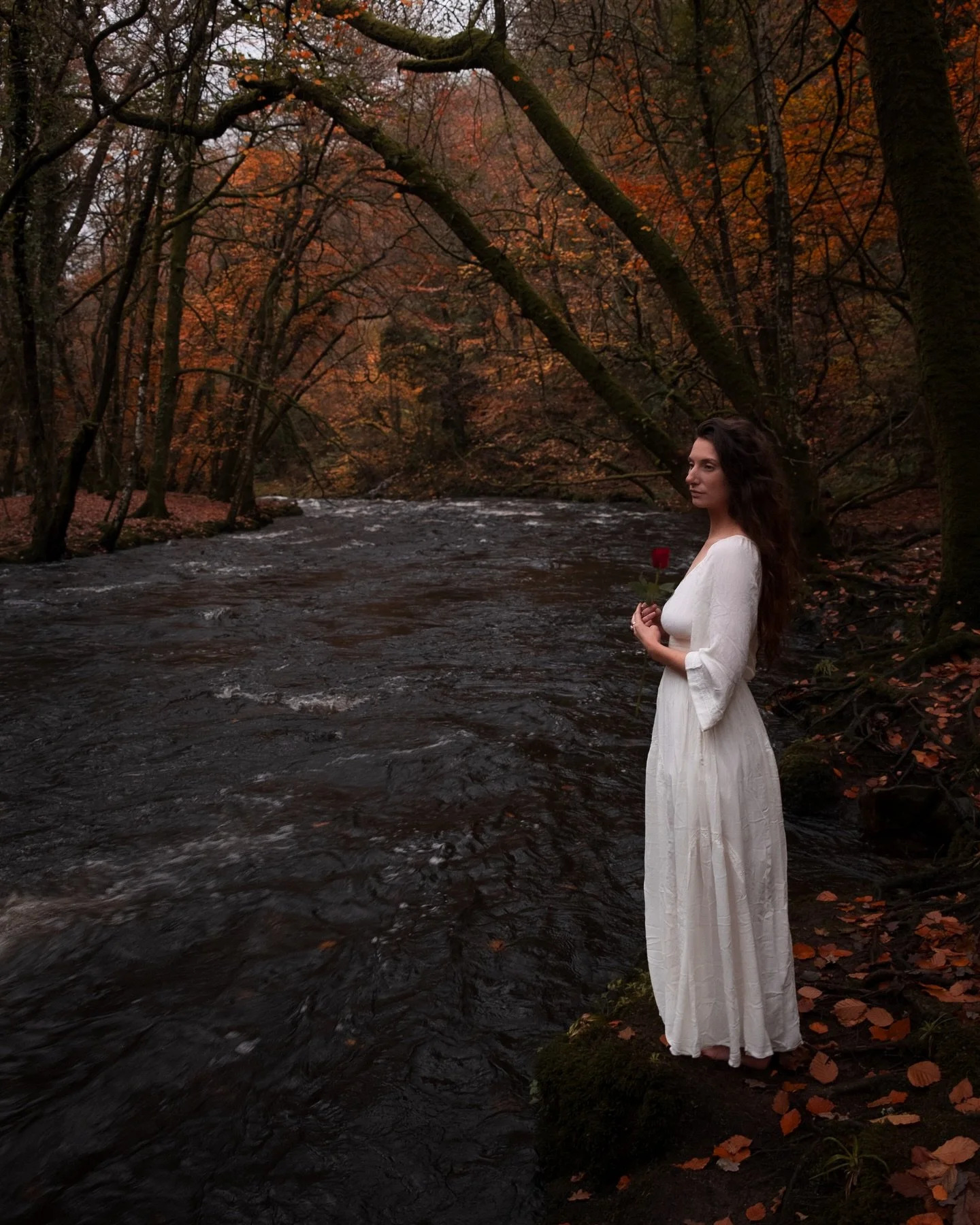 &bull;🍁&bull; 𝒜𝓊𝓉𝓊𝓂𝓃𝓈 𝑒𝓂𝒷𝓇𝒶𝒸𝑒 &bull;🍁&bull;

The last firey moments of autumn with @mata_yoga_