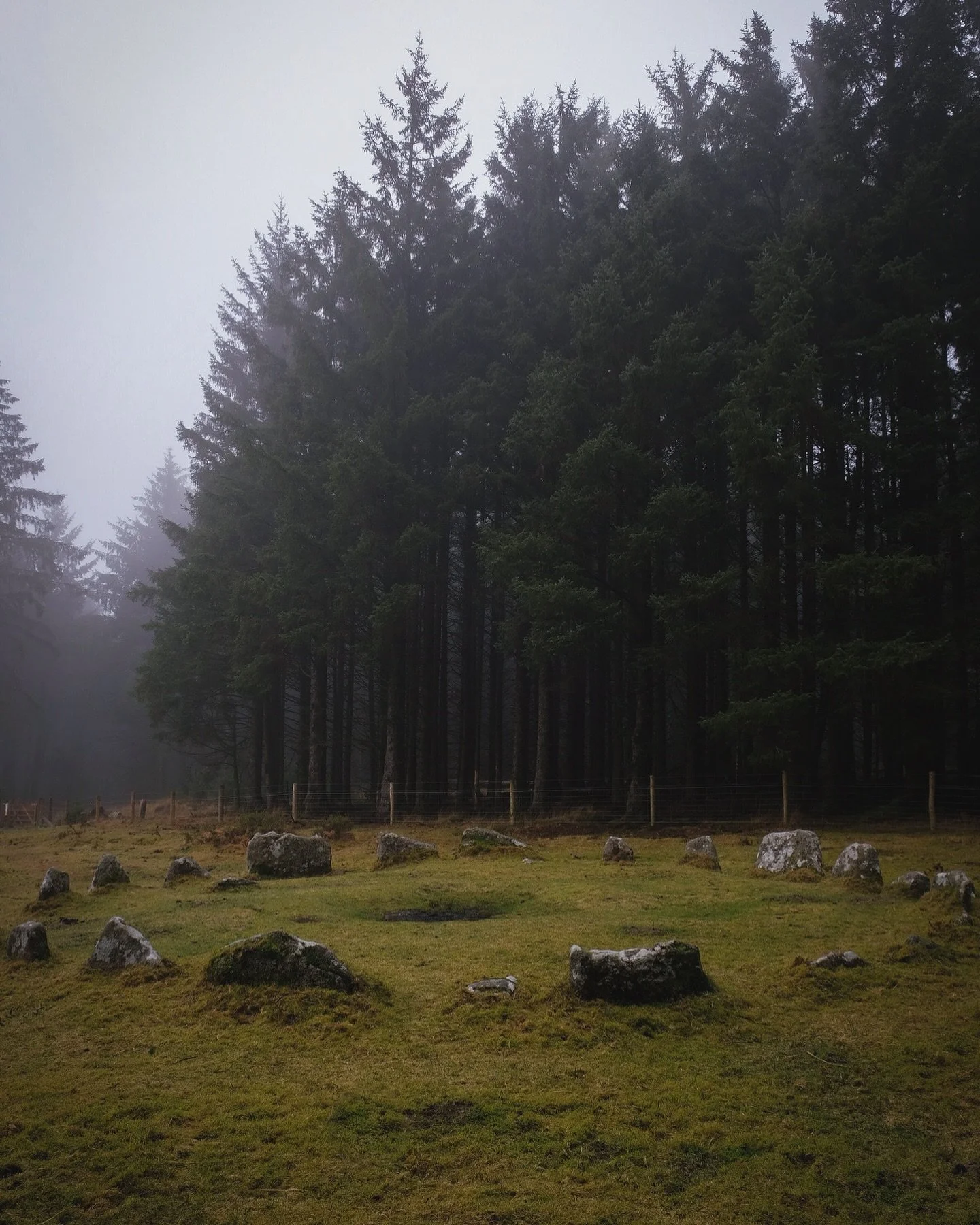 ✹ 𝐒𝐚𝐦𝐡𝐚𝐢𝐧 𝐁𝐥𝐞𝐬𝐬𝐢𝐧𝐠𝐬 ✹

Wishing you all a beautiful Samhain/Halloween on this magical and sacred day.