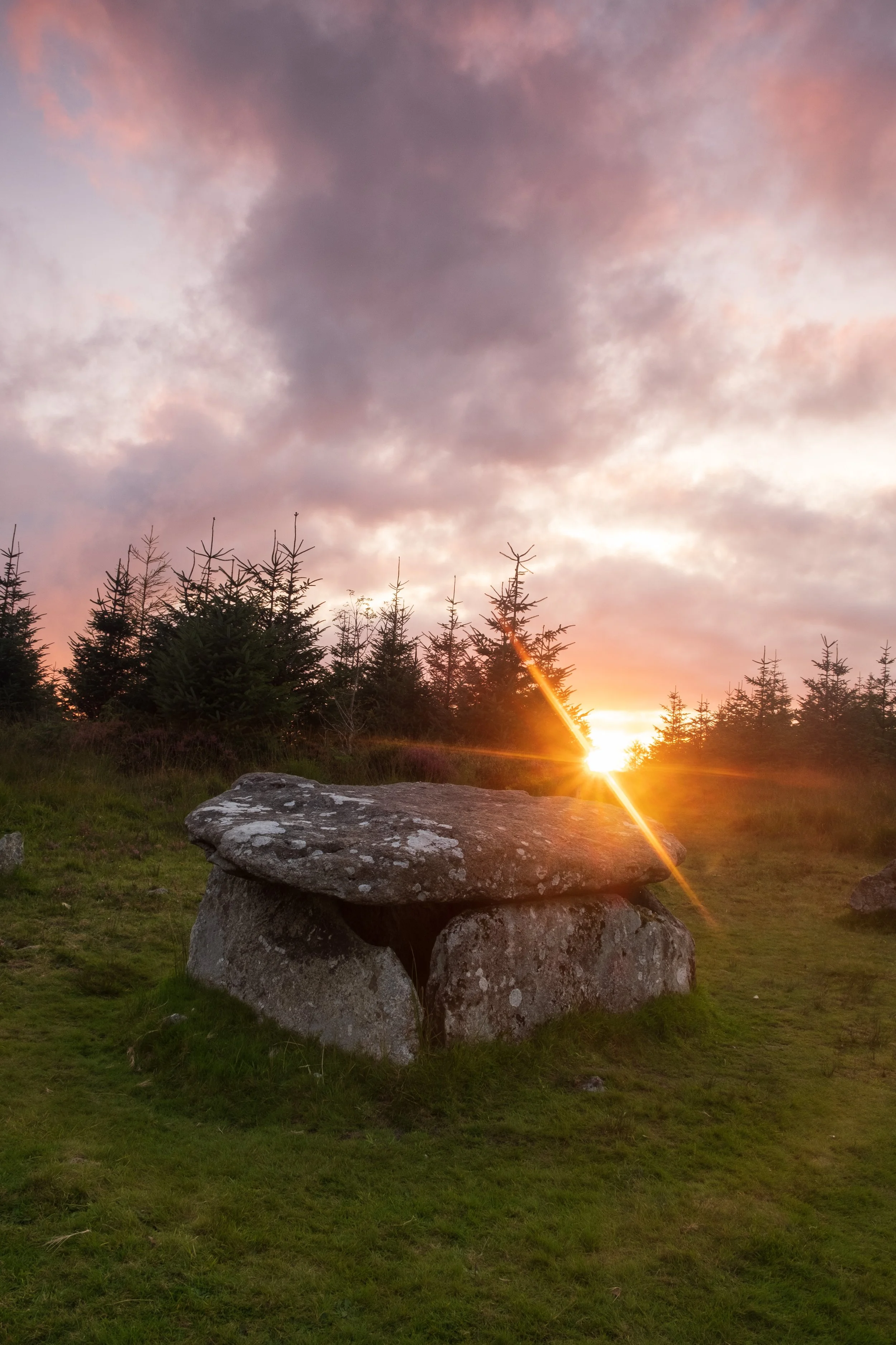 DSCF9052 2.jpg
