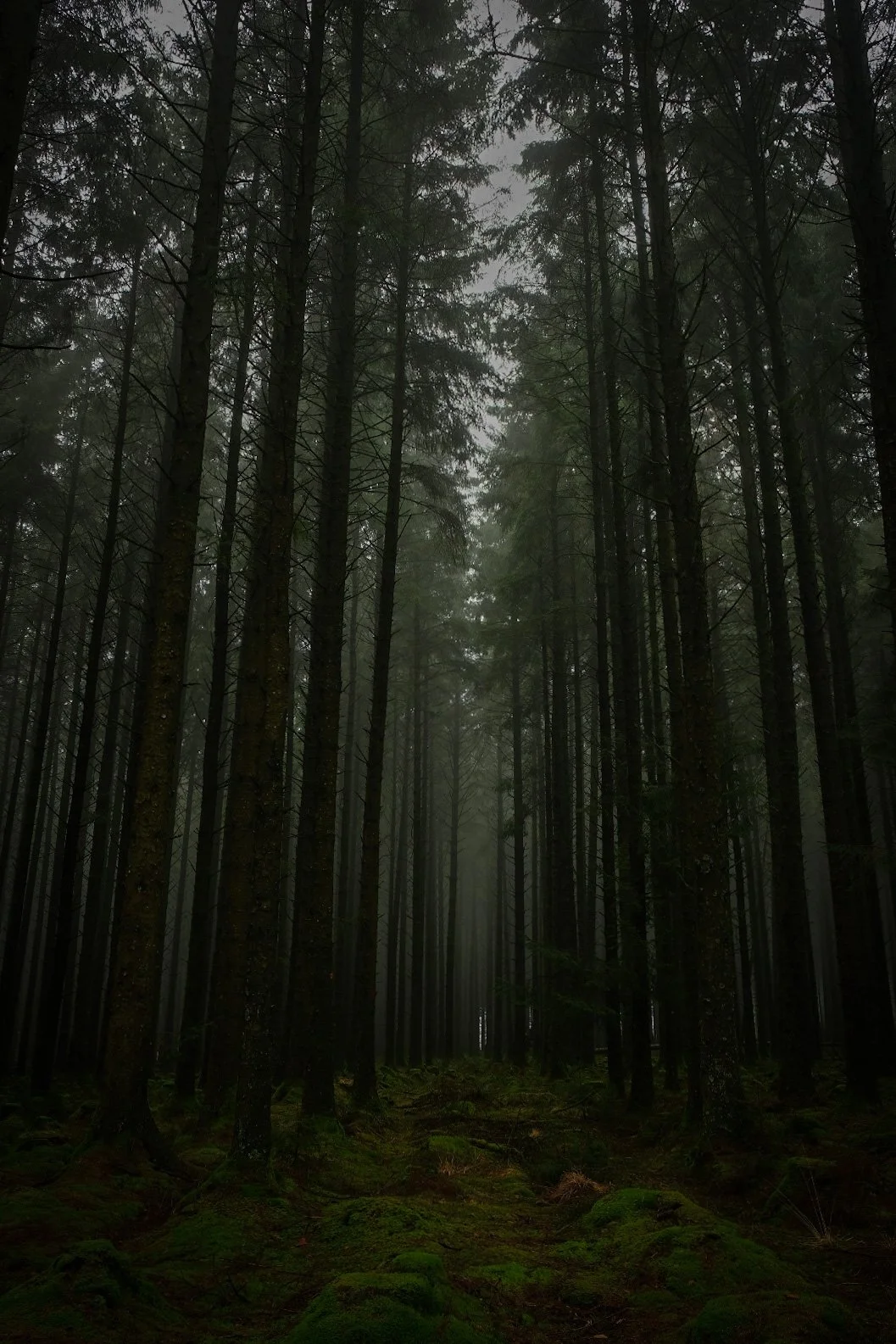 E5E79A9A-8C58-4DD0-A95D-6D4E99EB955F-198-0000000168807F7B 4.jpg