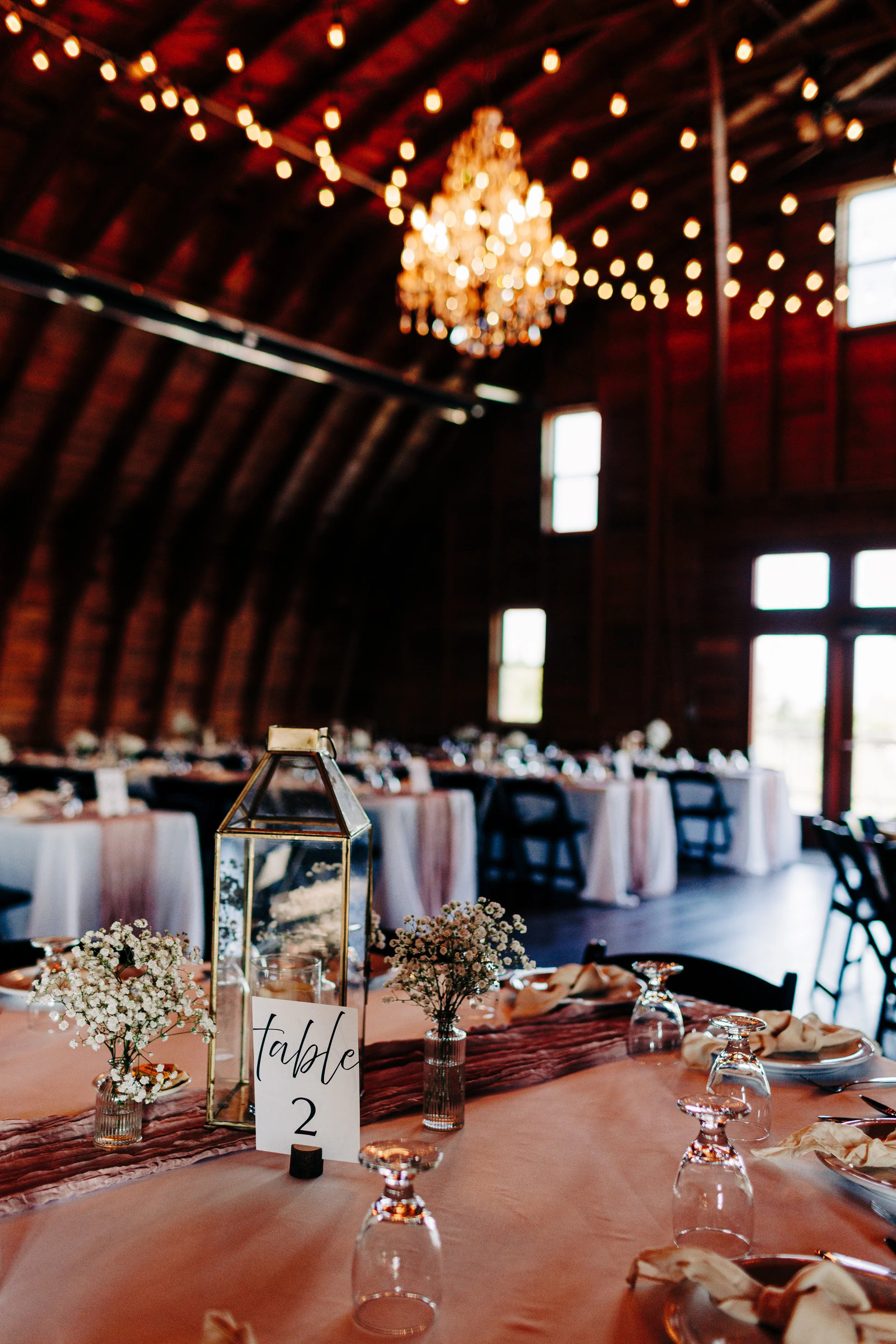 Photo Credit: Cassie Nicole Photography