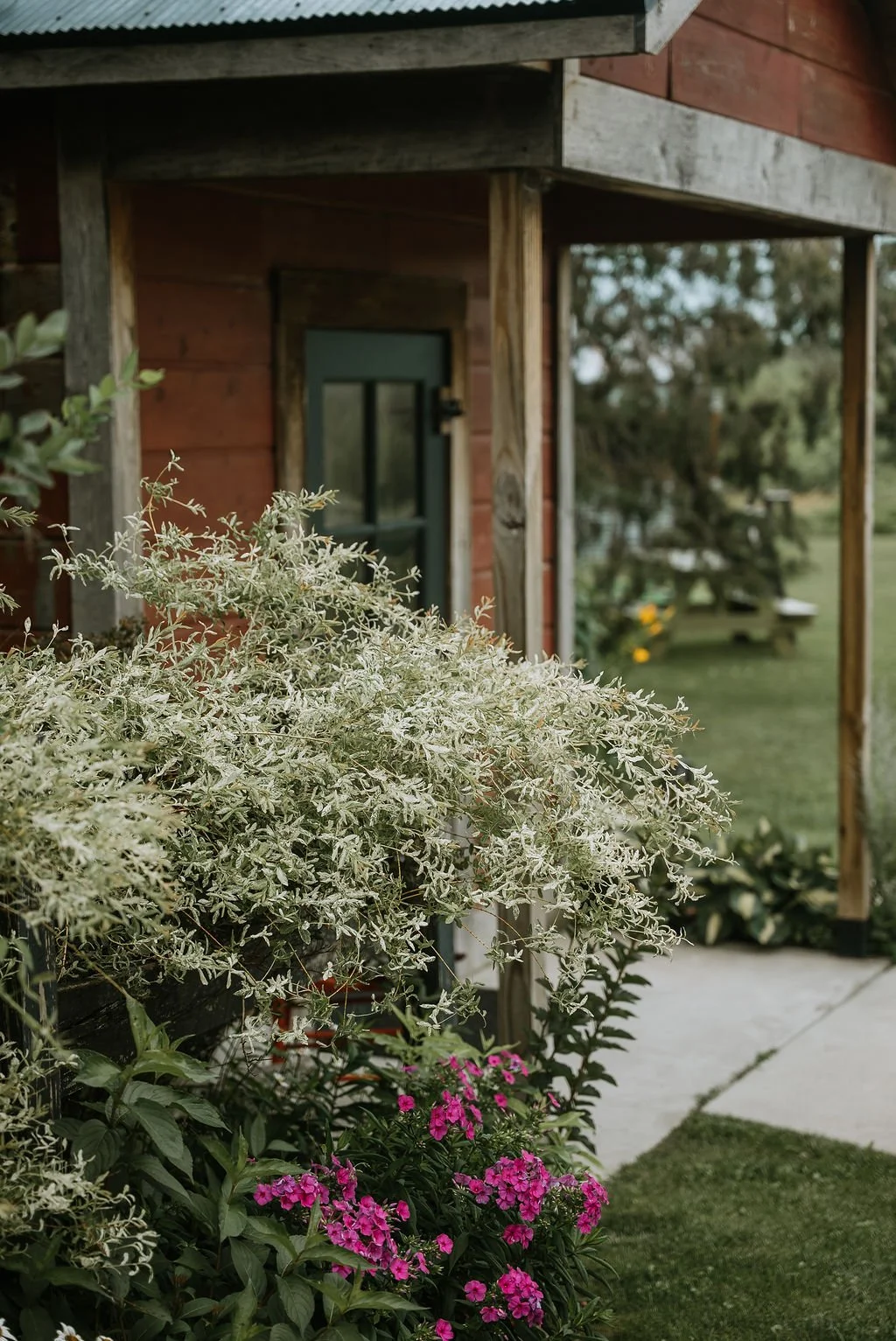 Photo Credit: Todoroff Media 