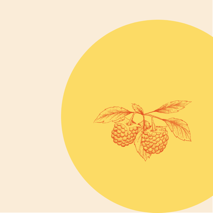 Het geschenk en de dienaar. 