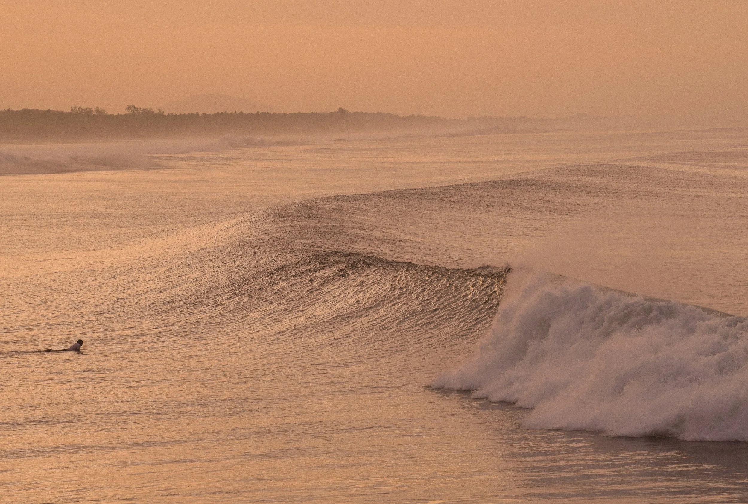 Dusk Rollers