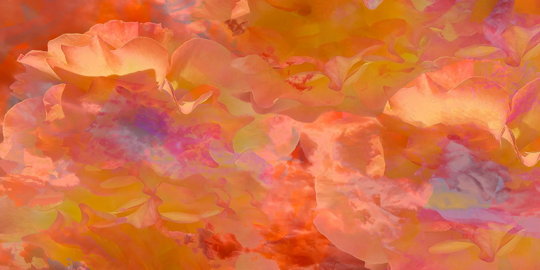 tangerine without seeds copy.jpg