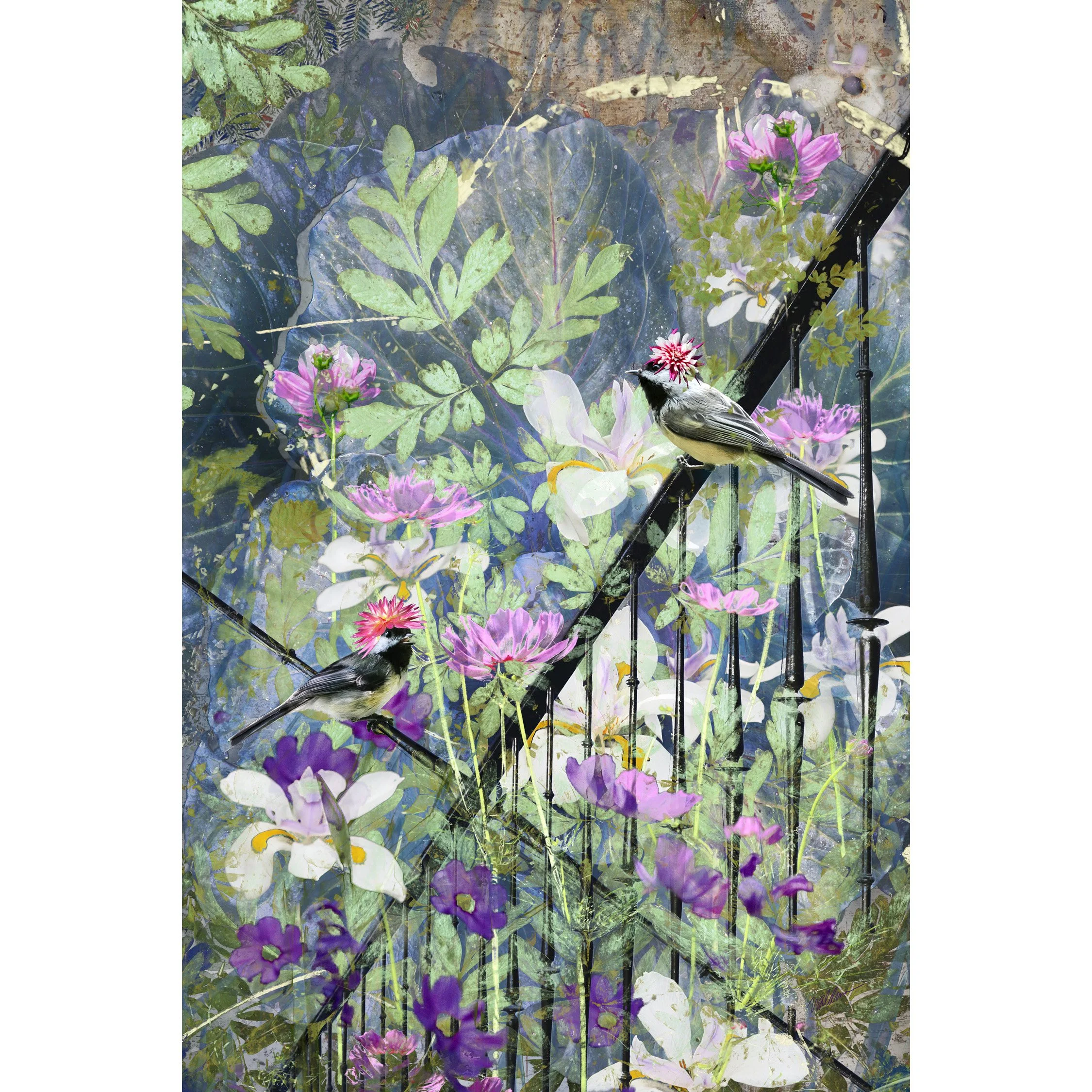 Waldman_Garden Fashionistas.jpg