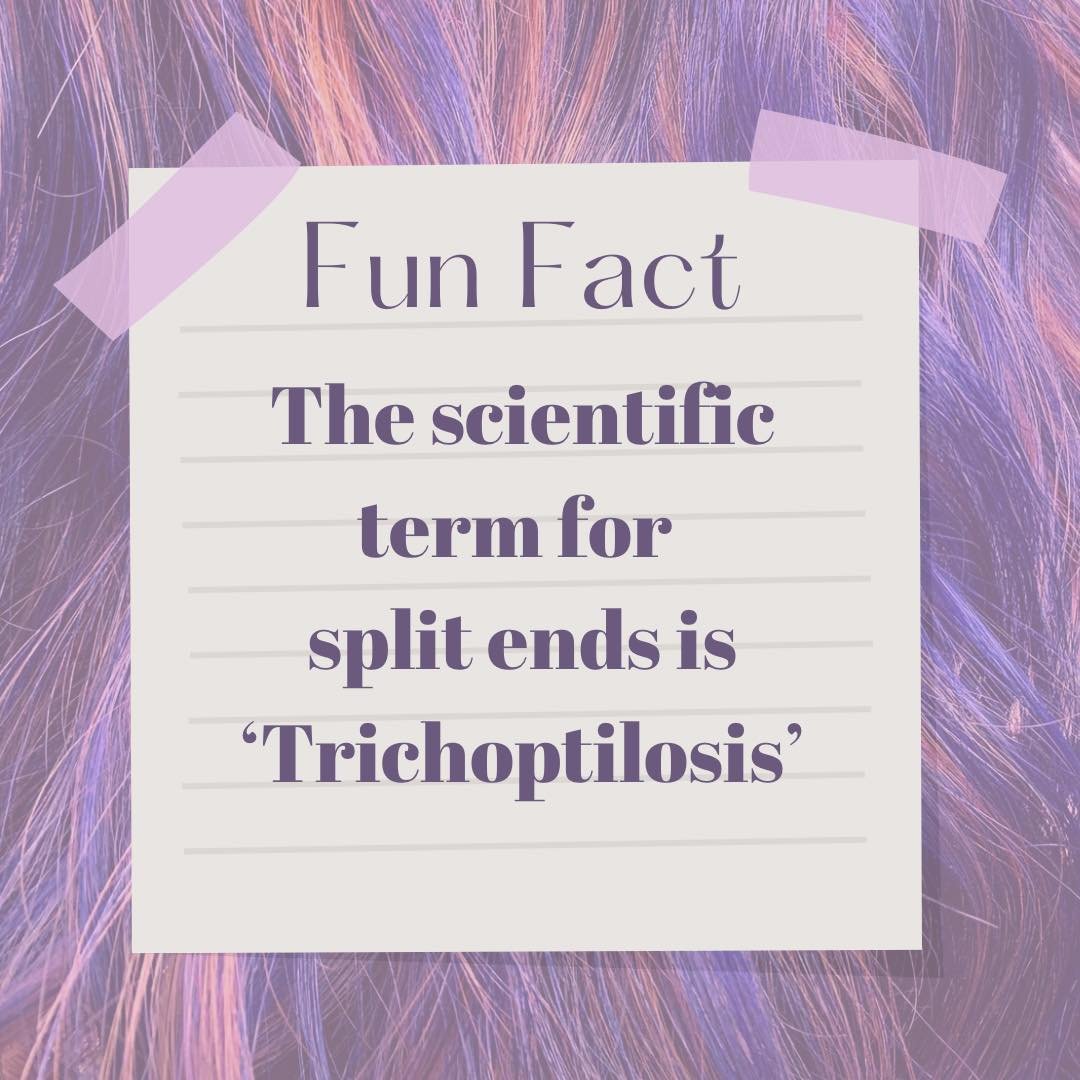 ✨Fun Fact Friday✨
.
The Scientific Term For Split Ends Is &ldquo;Trichoptilosis&rdquo; 
.
#tanglesnl #FunFactFriday #funfacts #shopsmallshoplocal #smalltownsalon #smallbusinessbigdreams #shopsmall #supportlocal #smallbusiness