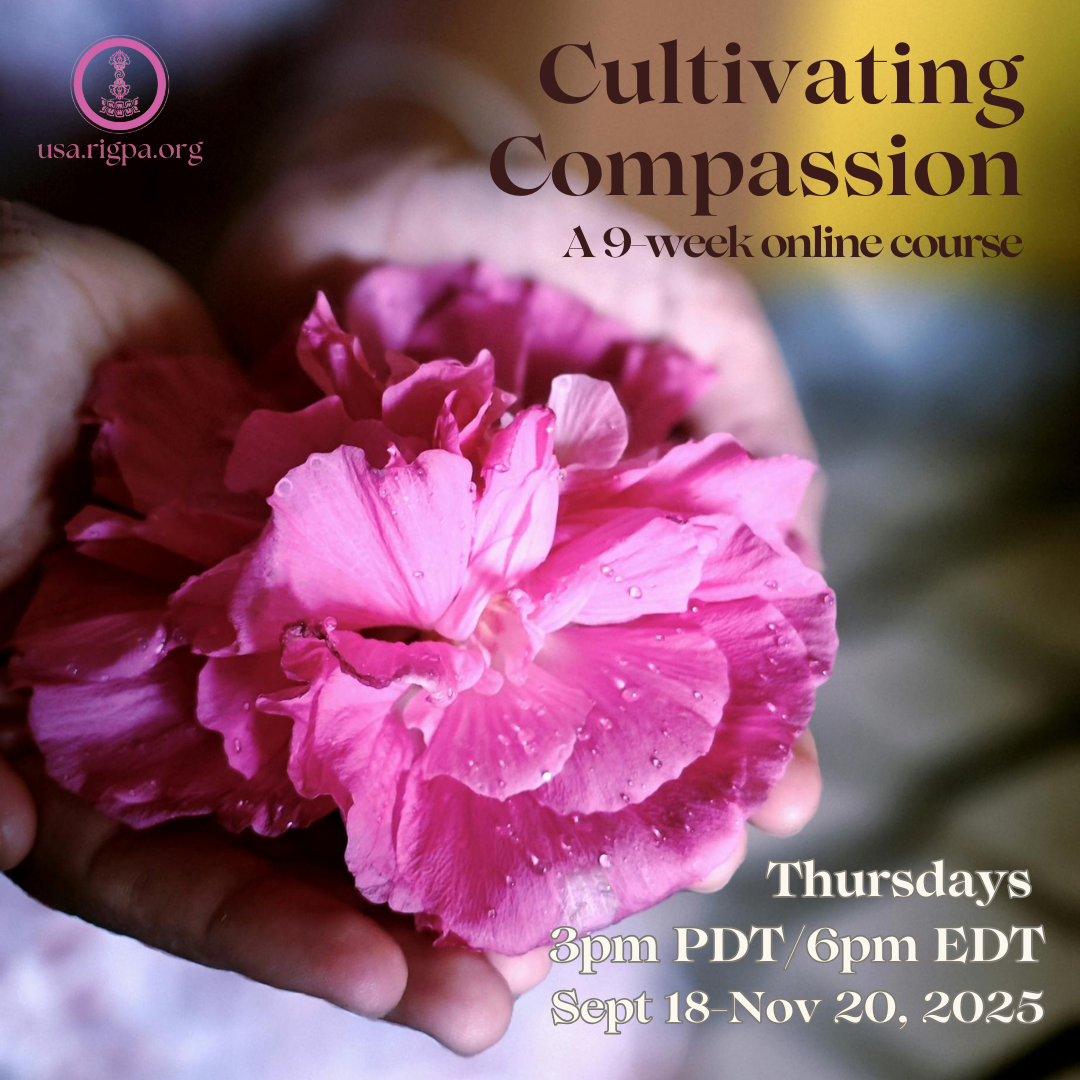 Cultivating Compassion
