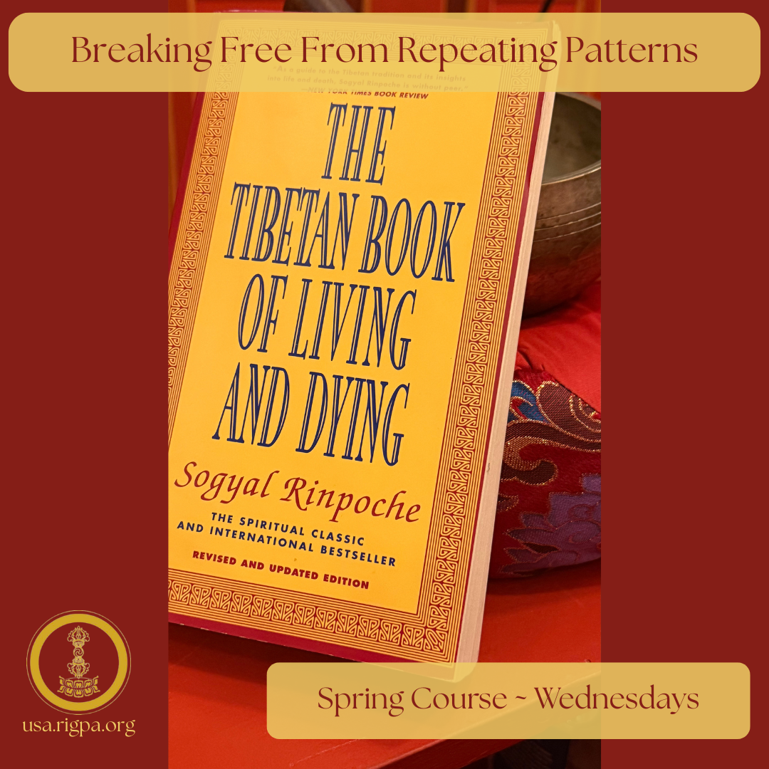 Winter Course Exploring Mind's Nature & The Art of Meditation.png