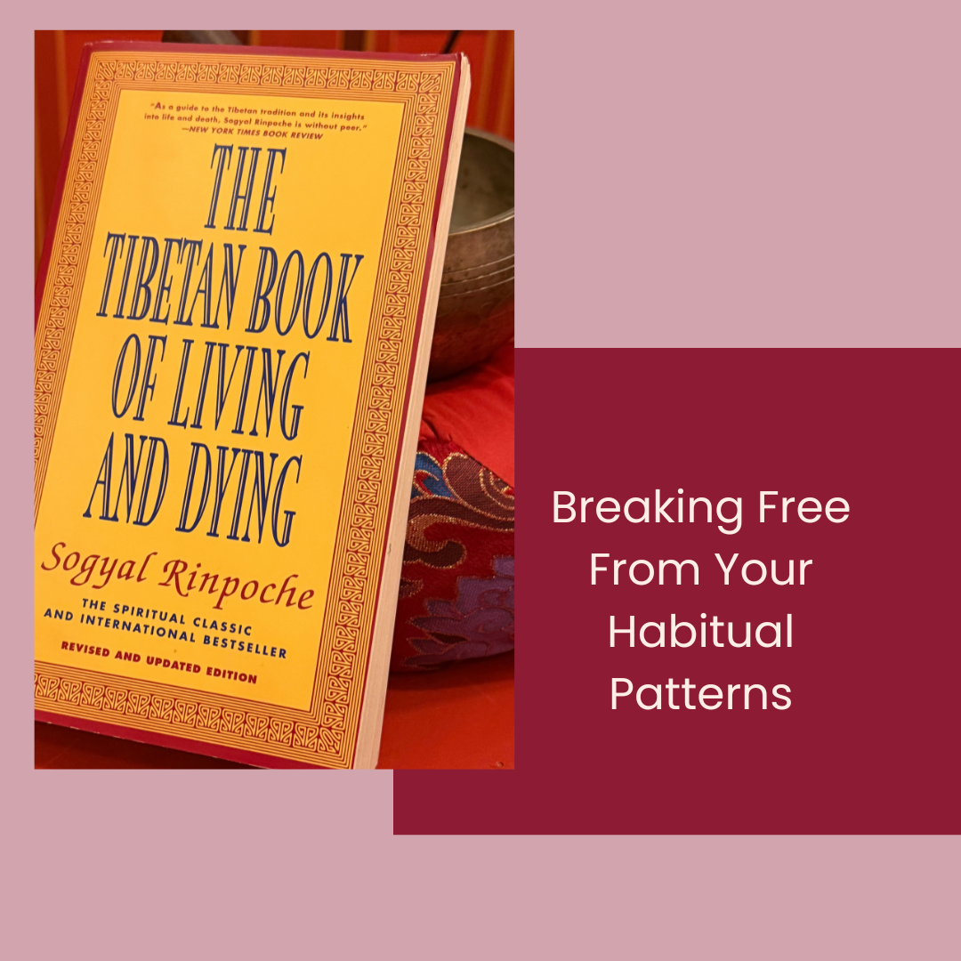 Spring TBLD Course Breaking Free From Your Habitual Pattnerns.png