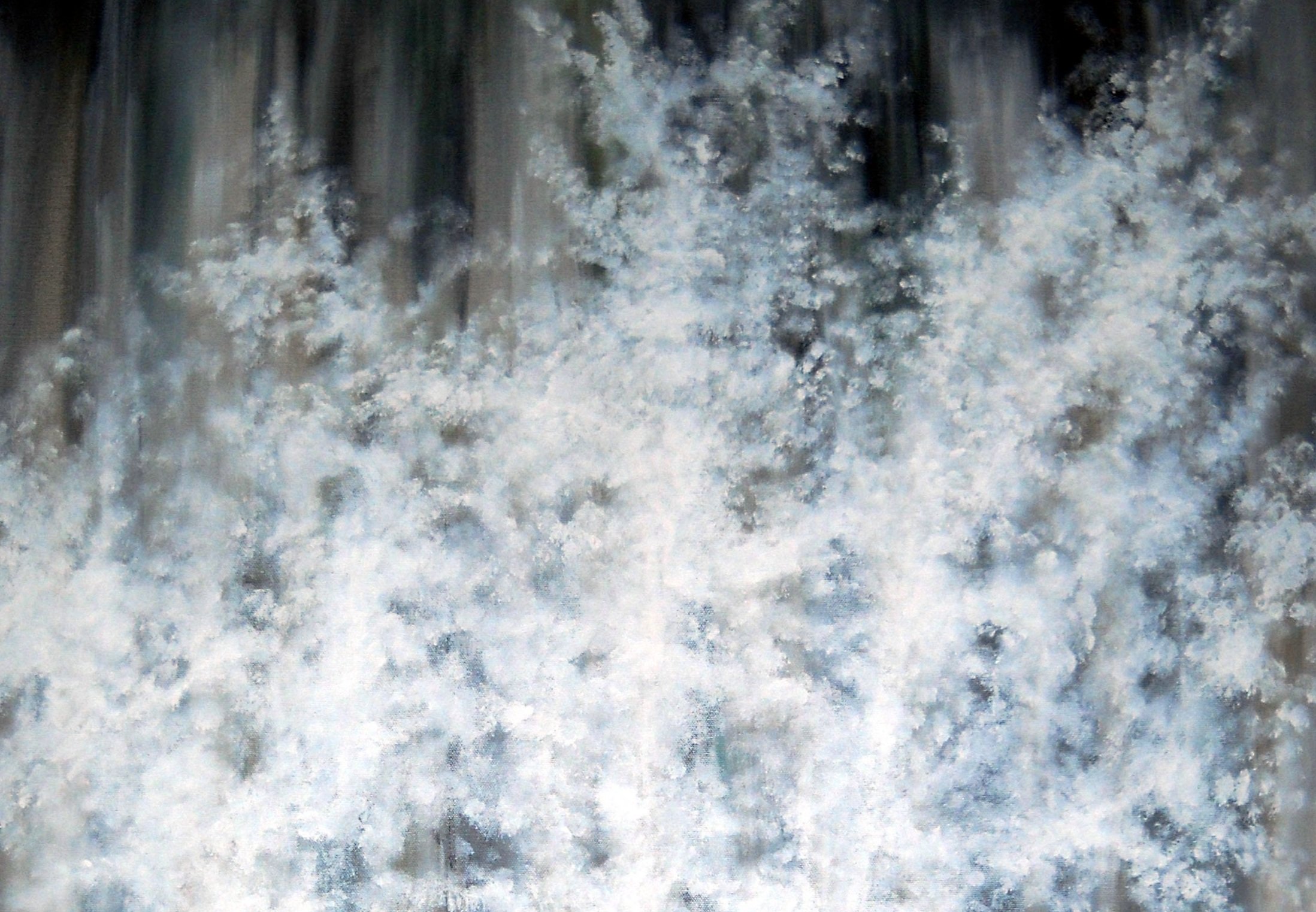 white+tree+off+size.jpg