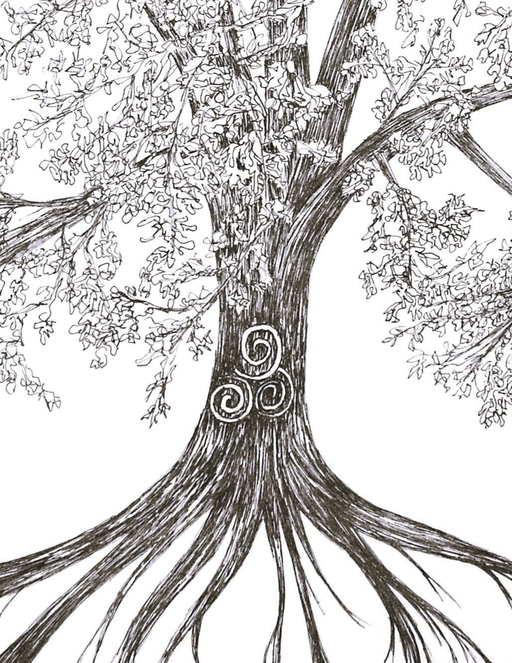 Tree+of+Life+full+size+edited+b+w.jpg