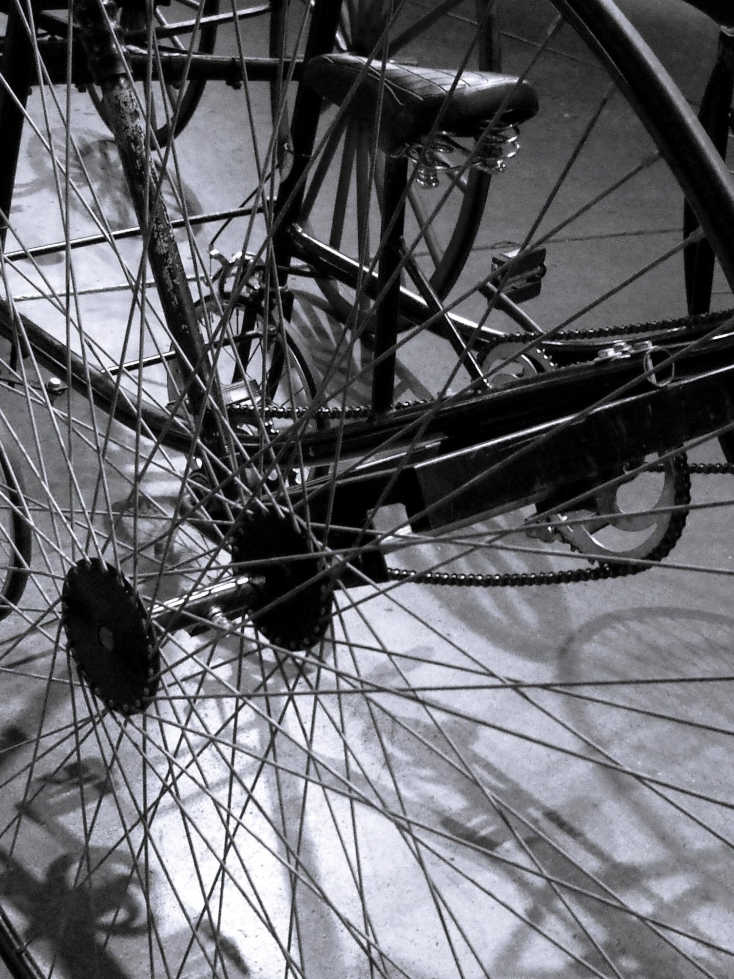 bike+b+w.jpg