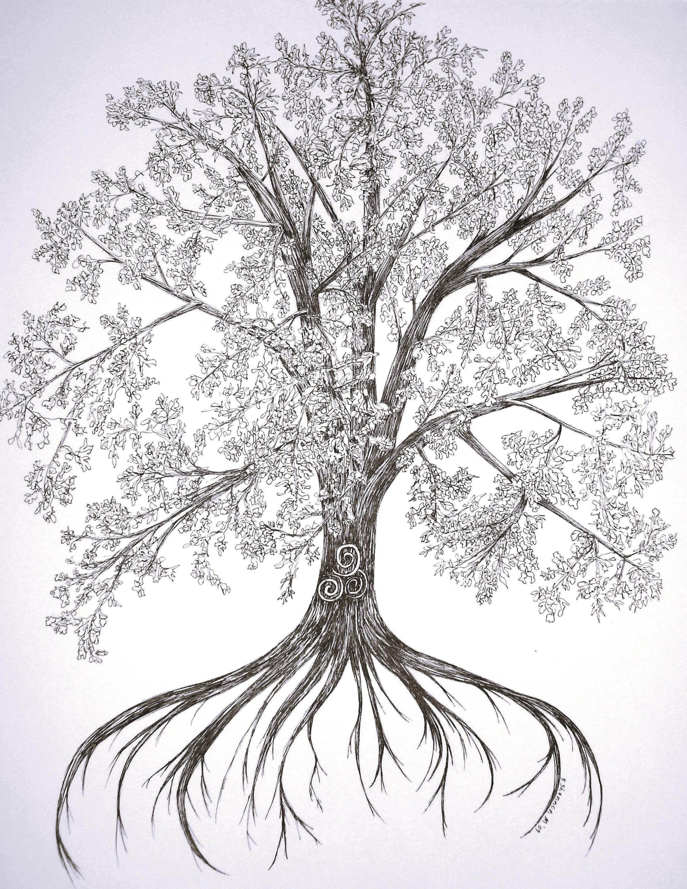 Tree+of+Life+full+size+edited+b+w.jpg