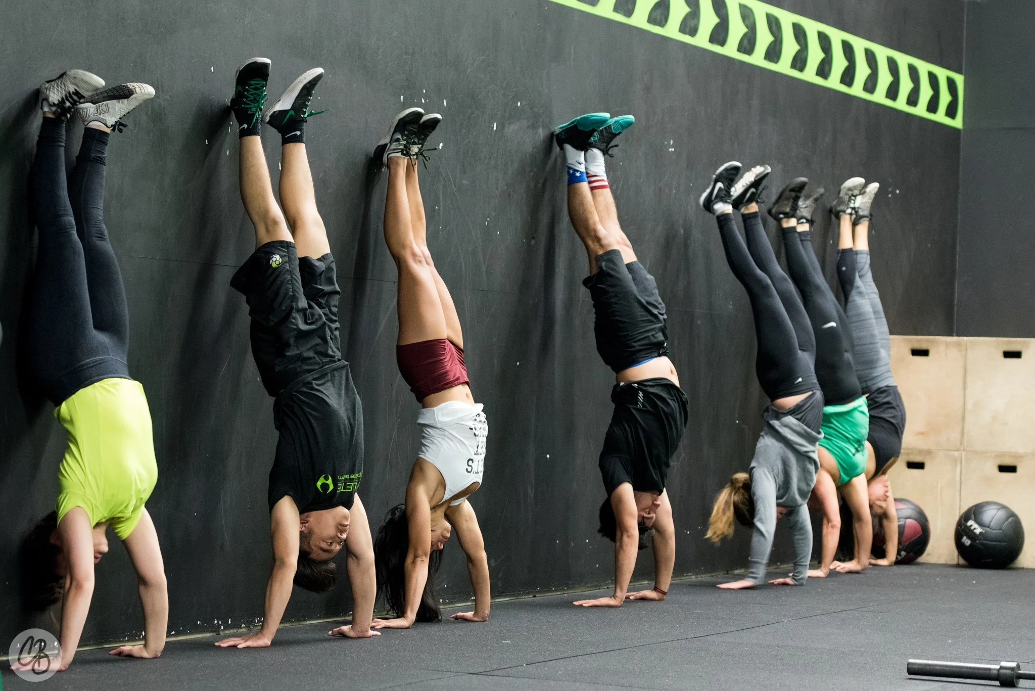 Rcf Program Programs — RCF.FIT