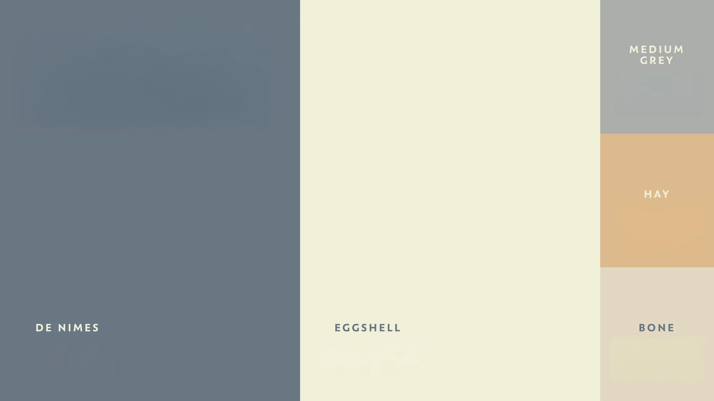 Connection Chiropractic-11.jpg