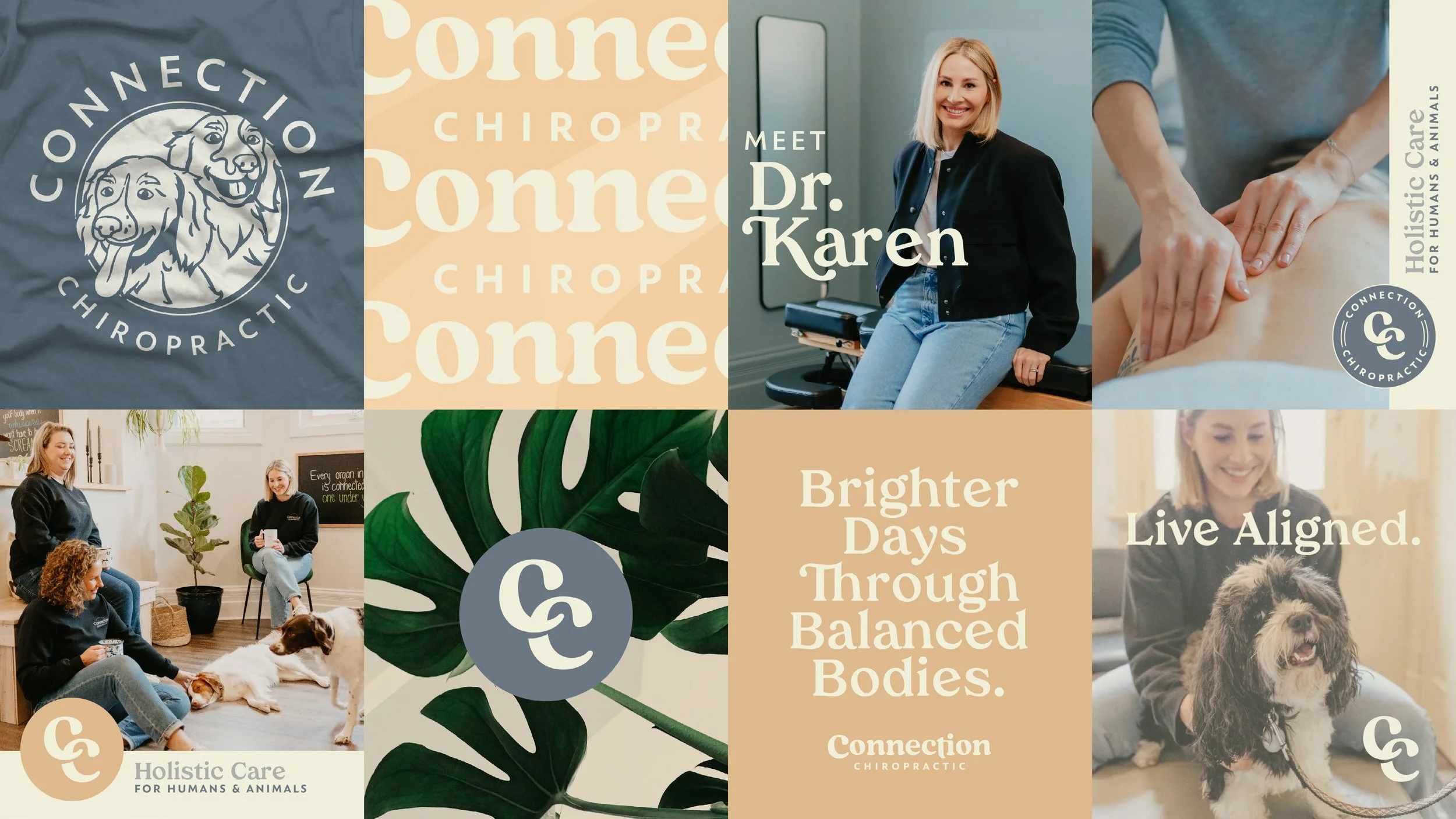 Connection Chiropractic-14.jpg