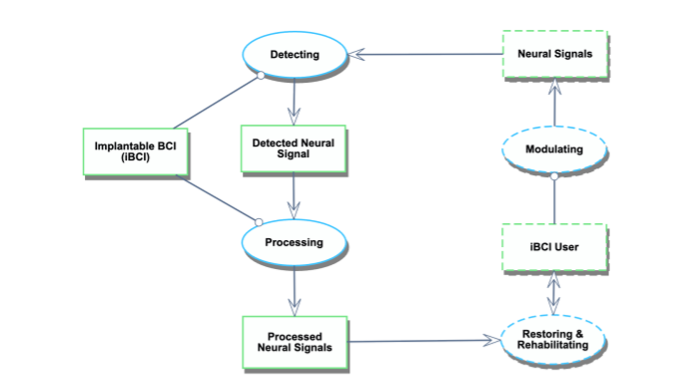 Implantable BCI Object Process Model