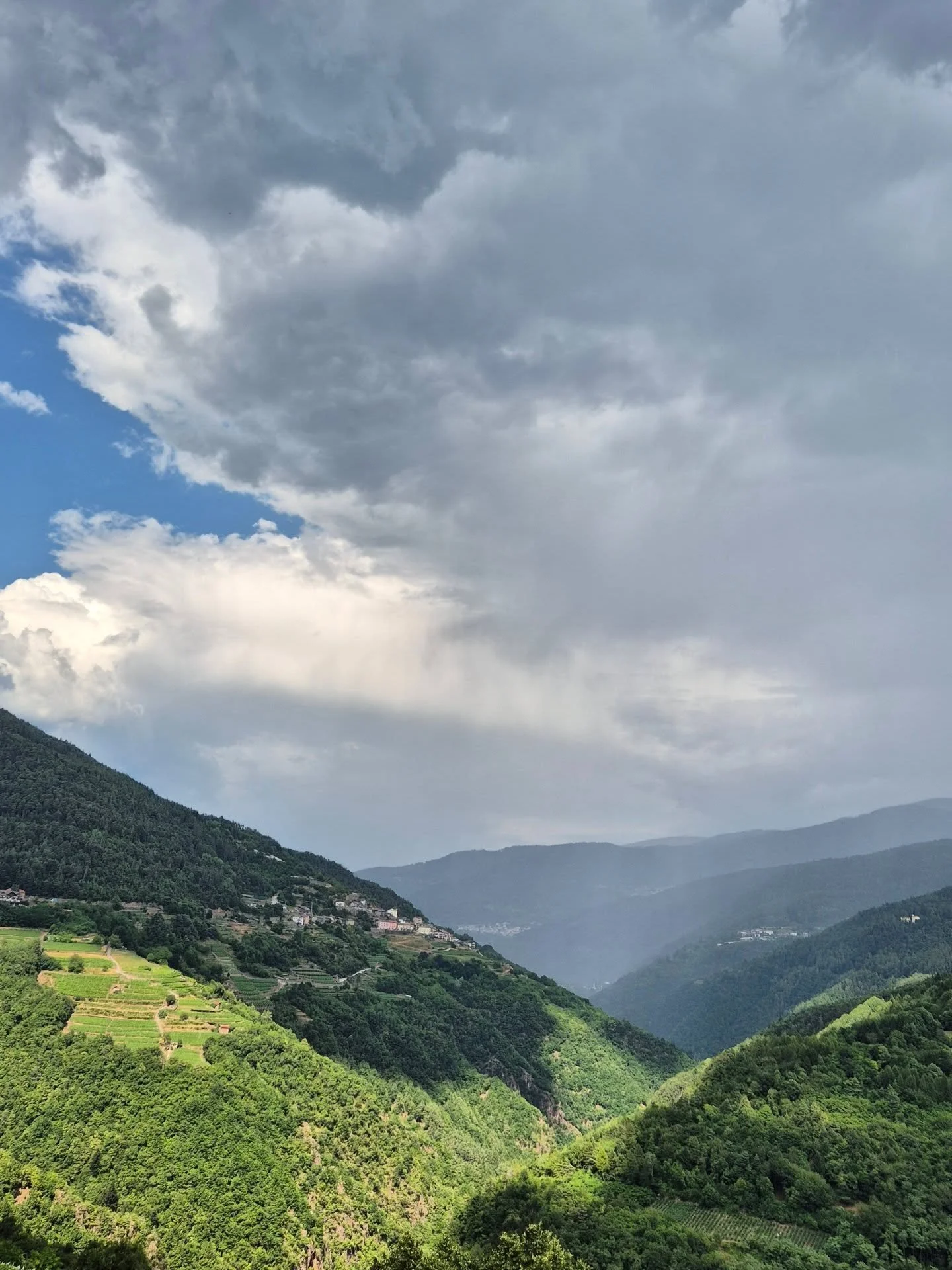 Valle di Cembra - Trentino 
(03/07/2025)

Mismo lugar, diferentes colores, diferentes emociones

#sombra #sol #nubes #lluvia #arcoiris #atardecer #verano #alpesitalianos