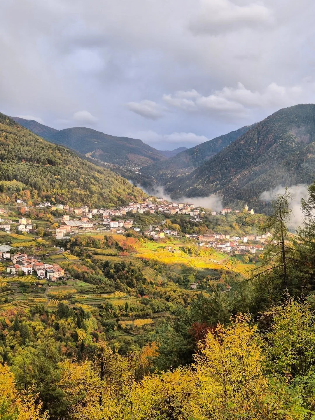Valle di Cembra - Trentino 🍂🍁
(23/10/2025)
#autunnotrentino #autunno #otoño #octubre #ottobre #foliage