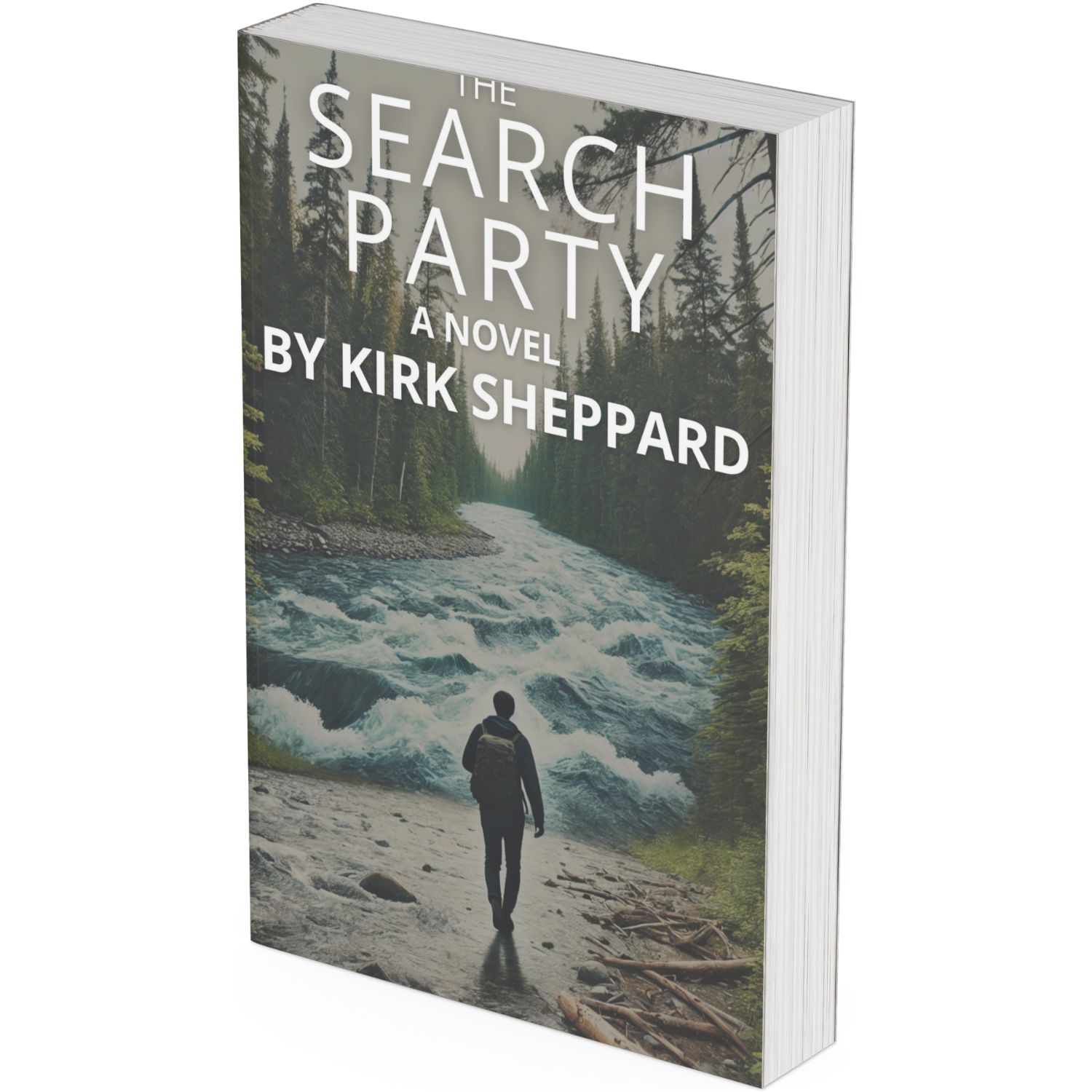 The Search Party