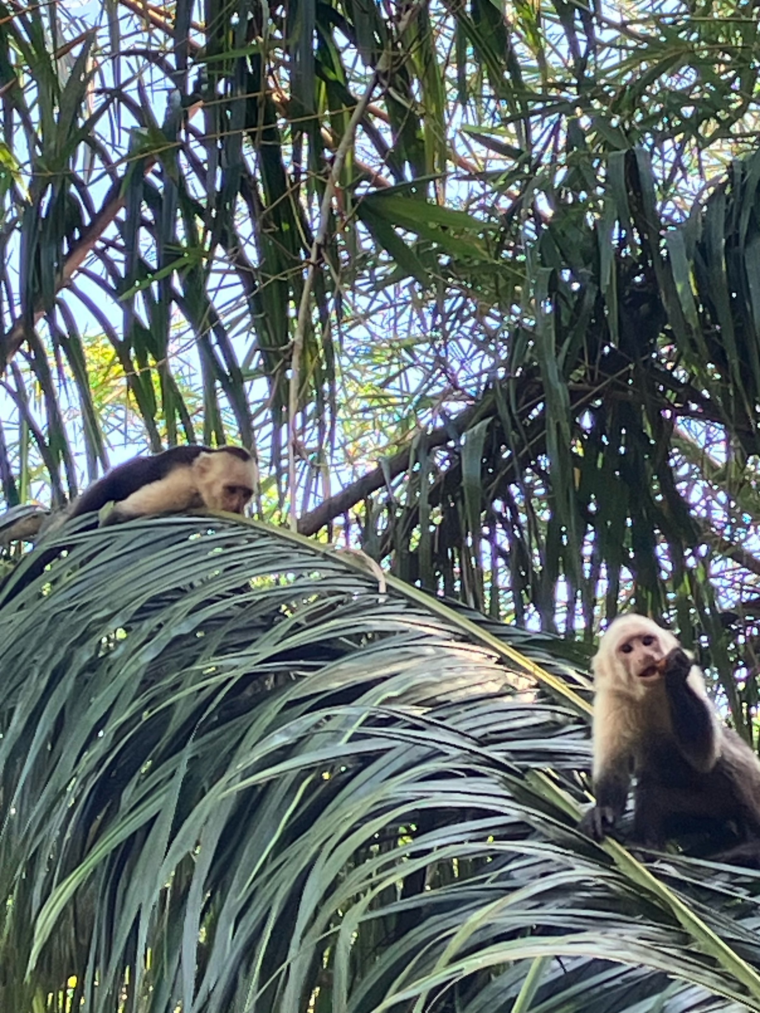 DOUBLE OCCUPANCY