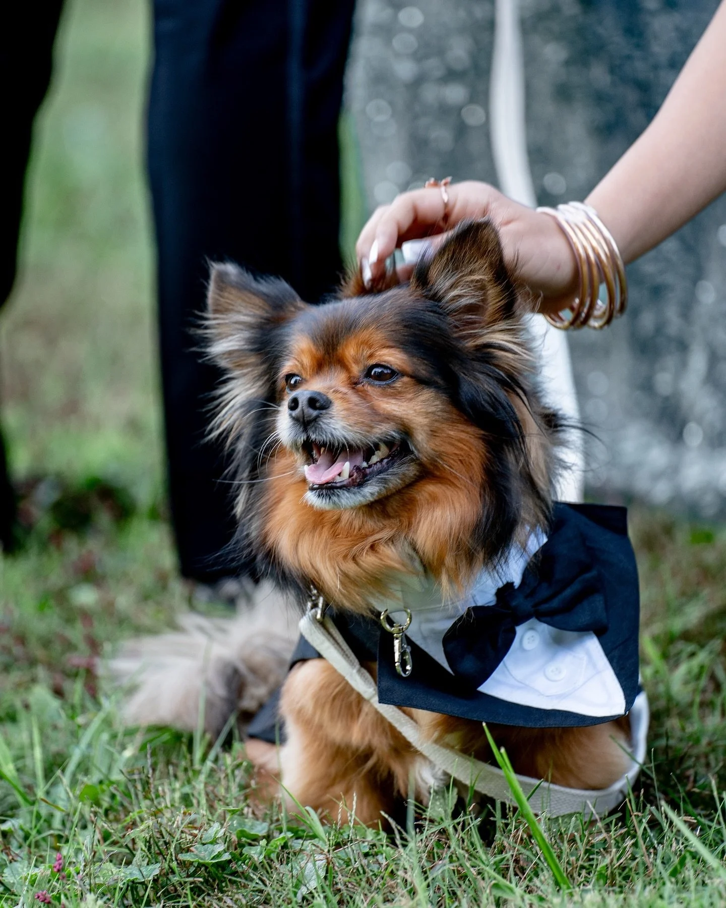 The most handsome boy at the wedding

#nashville #videographer #photographer
#weddingphotographer #weddingvideographer 
#engagementphotographer #nashvilleengagementphotographer #engagement #nashvilleweddingphotographer