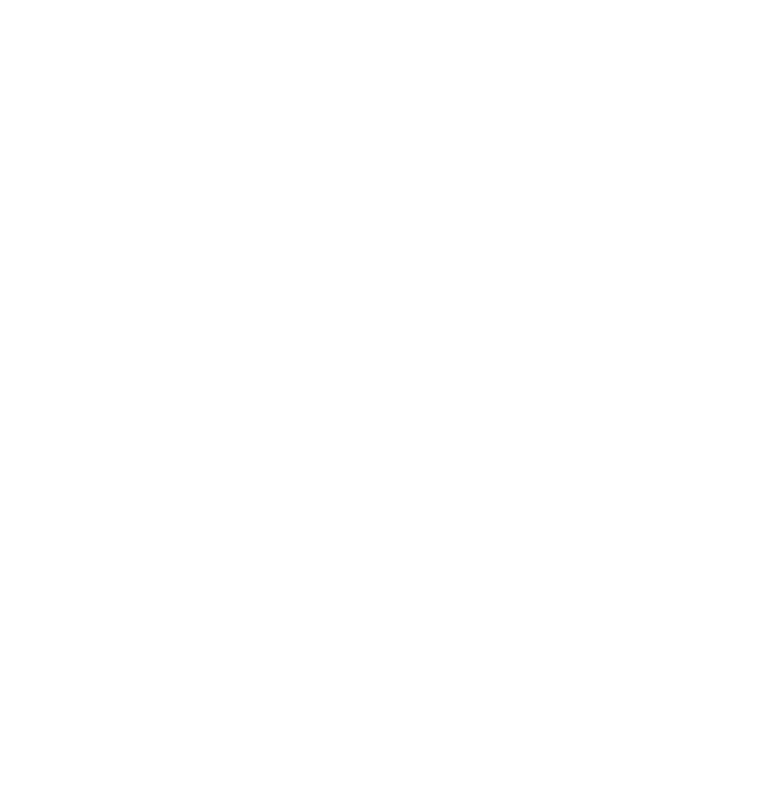 Anomaly Studios 