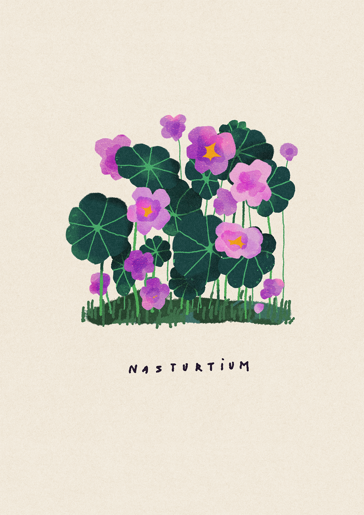 nasturtium.png