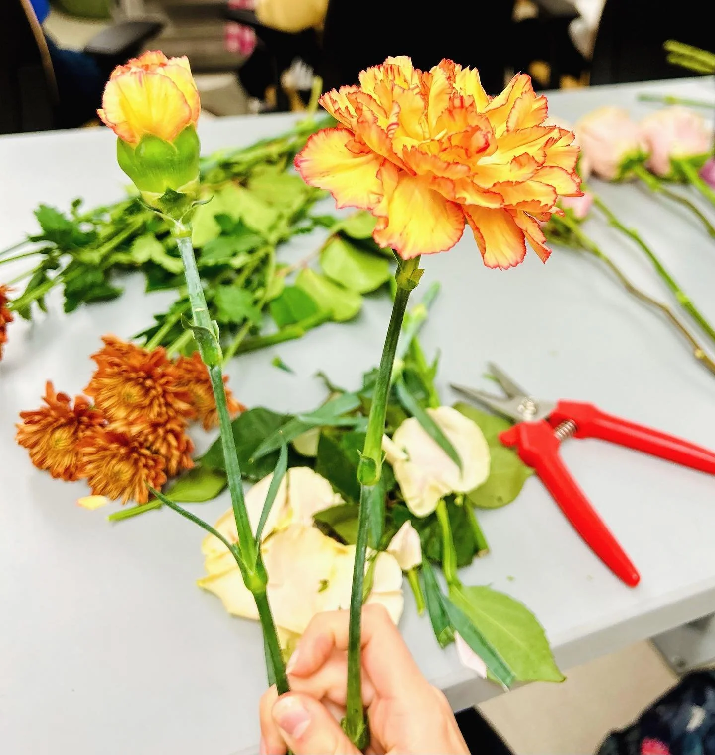 Reflexing petals can give the flower a whole new look! ✨