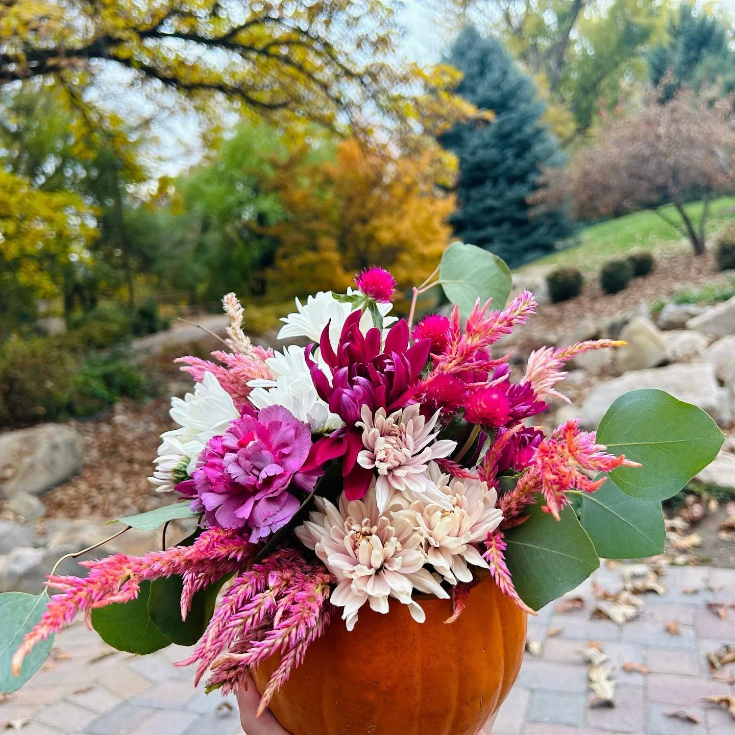 I really like how the globe amaranth (pink ball flowers) in this design create a line to help move your eye through the arrangement! 🩷 
Another pumpkin design 🍁