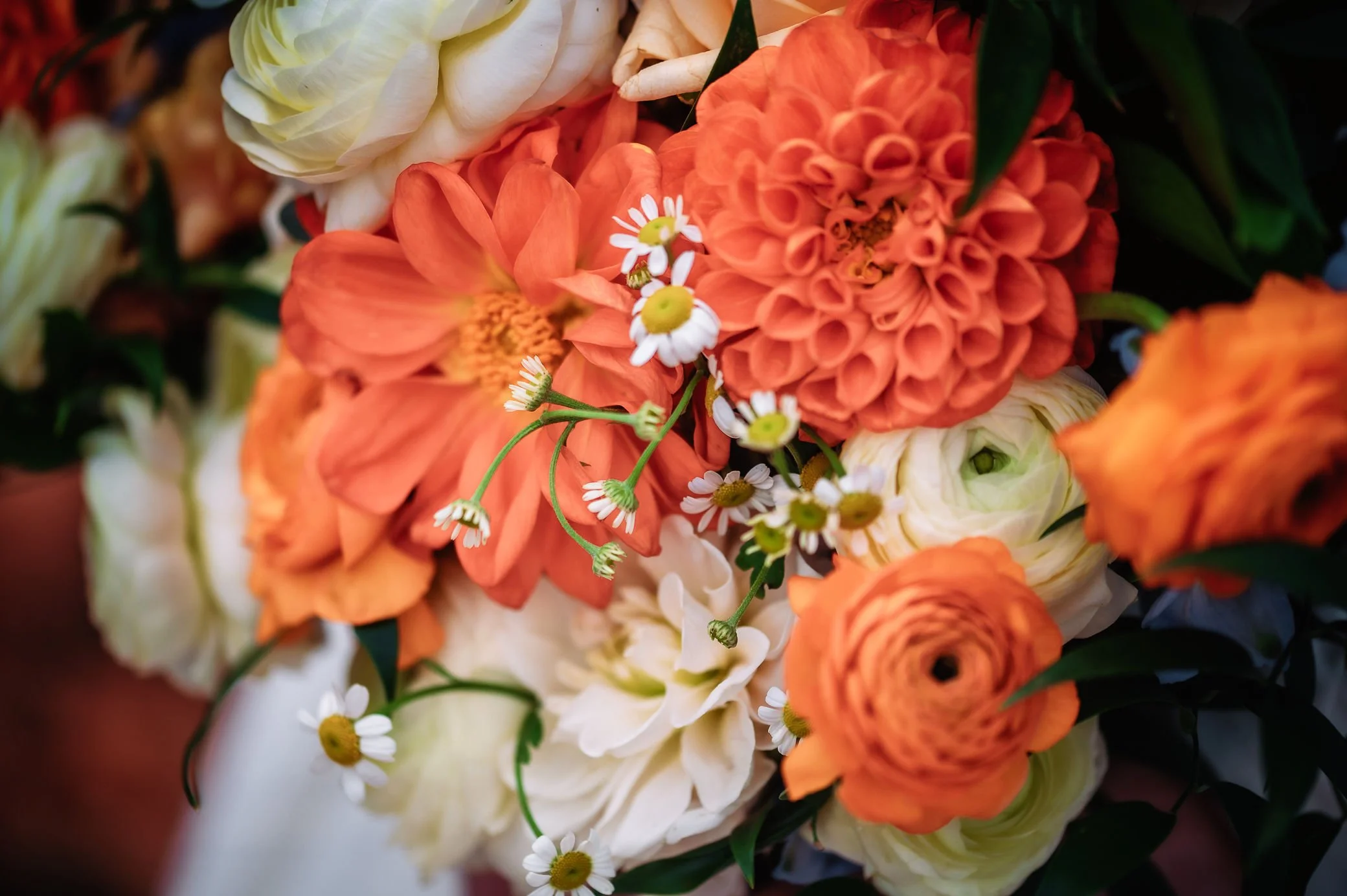 Dahlia Daisies Ranunculus Provo Utah bride floral bouquet.jpg