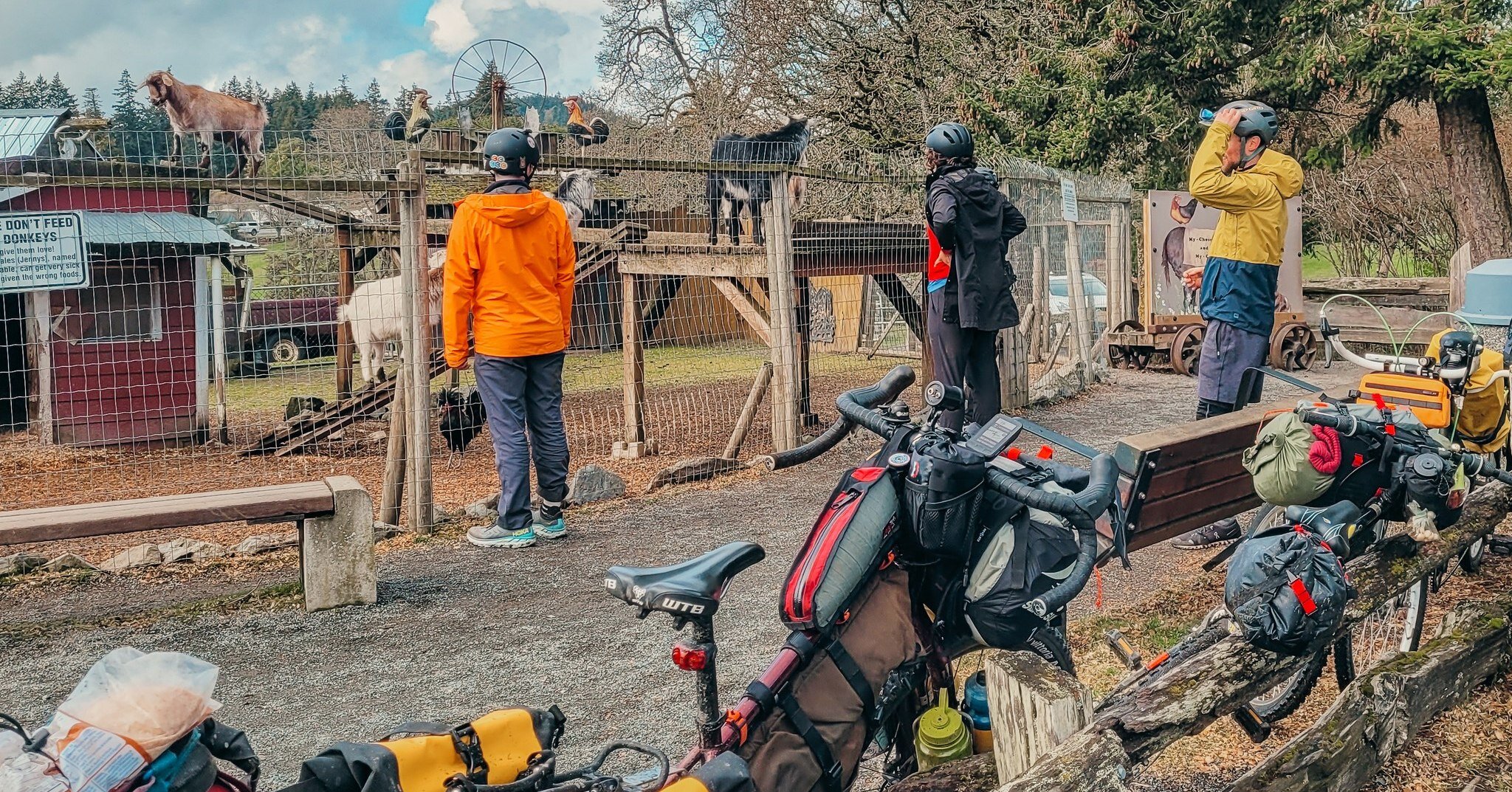 We've had some great times on the Sooke Brewery Sampler tour this year. Lunches with ocean views, a great rail trail to ride along and friendly goats!
. 
#bikepacking #britishcolumbia #travel #nature #adventure #gravelbike #bicycletravel #rideyourbik