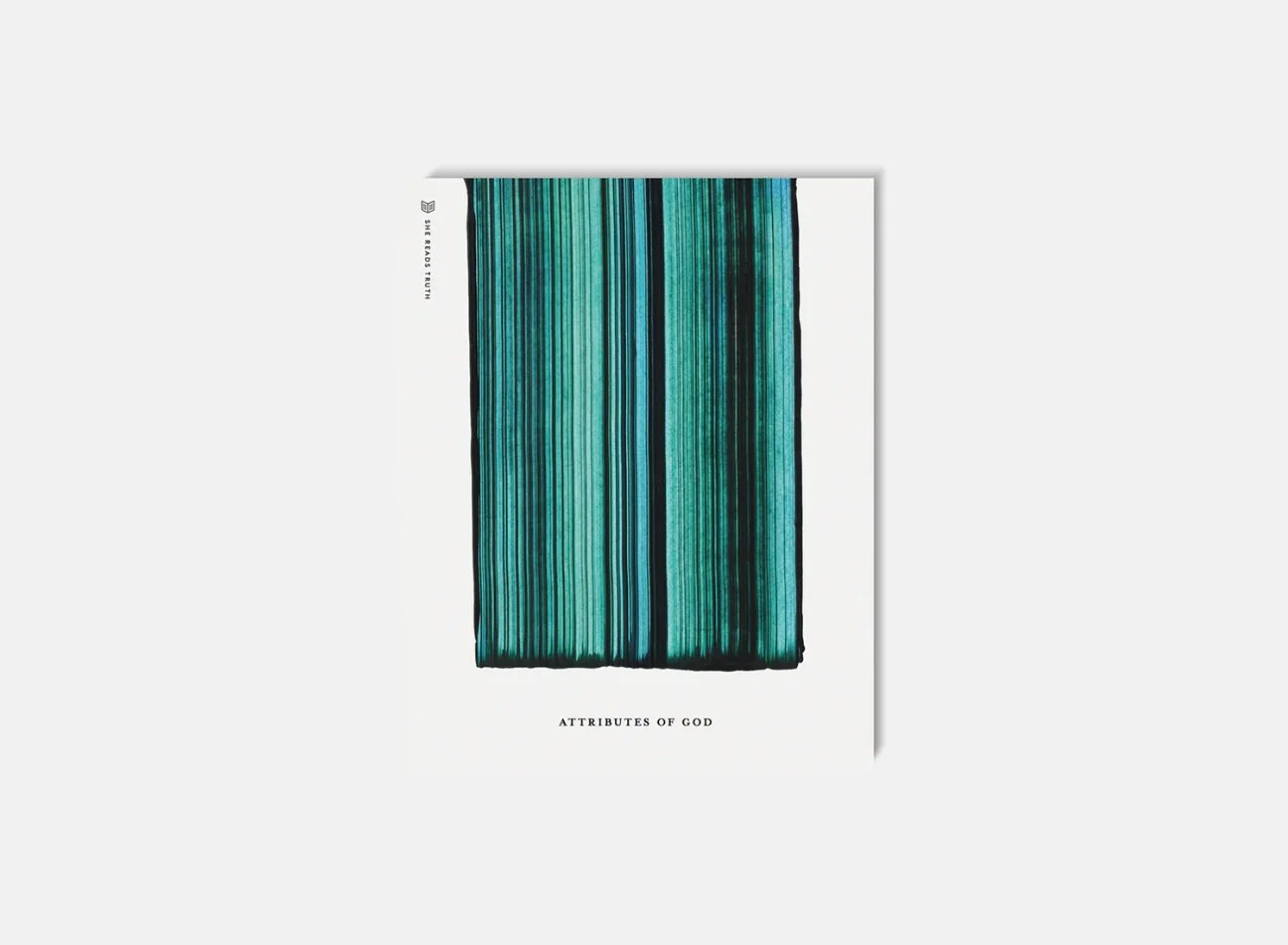 srt-cover.jpg