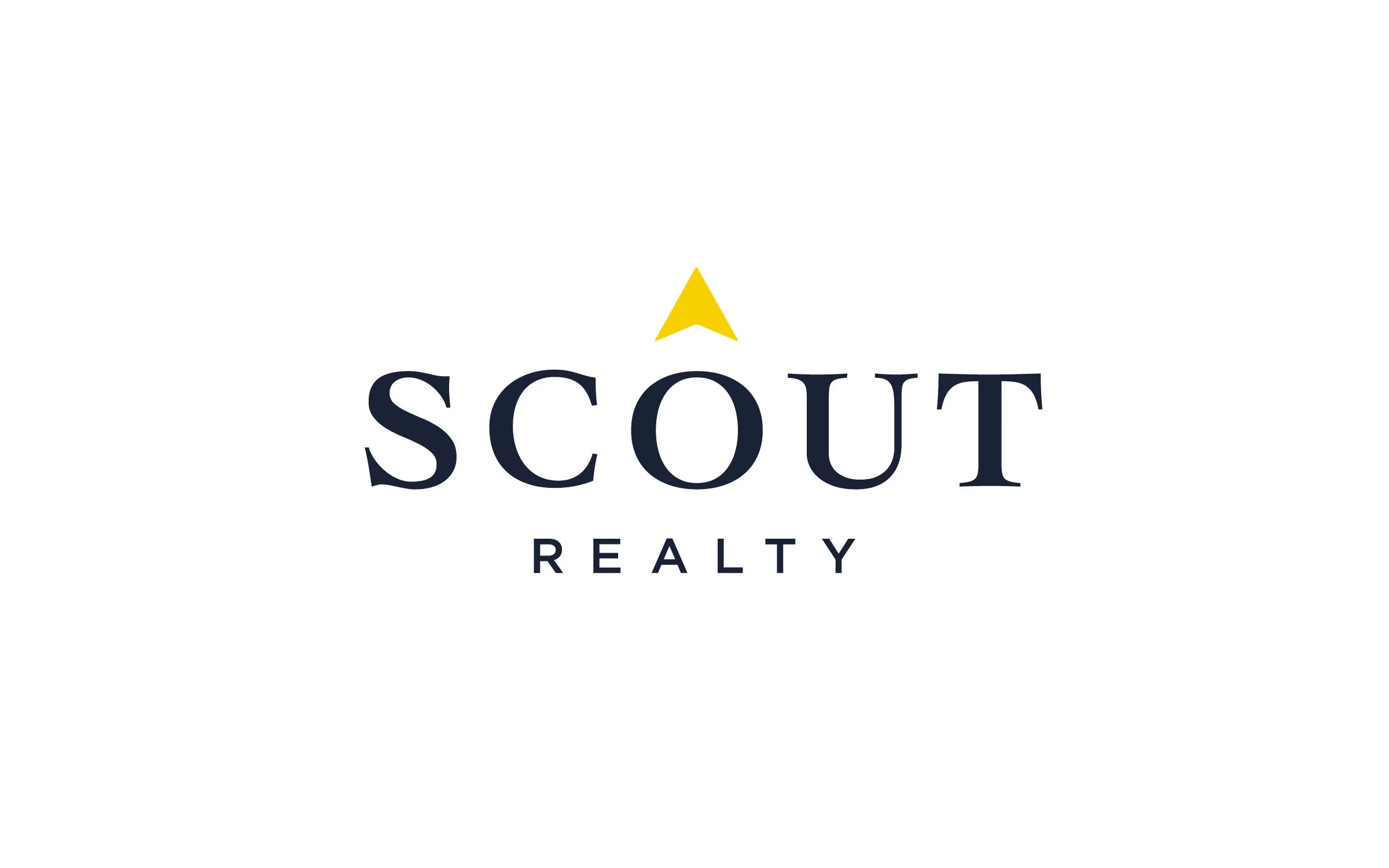 Scout_Primary-YellowBlue.jpg