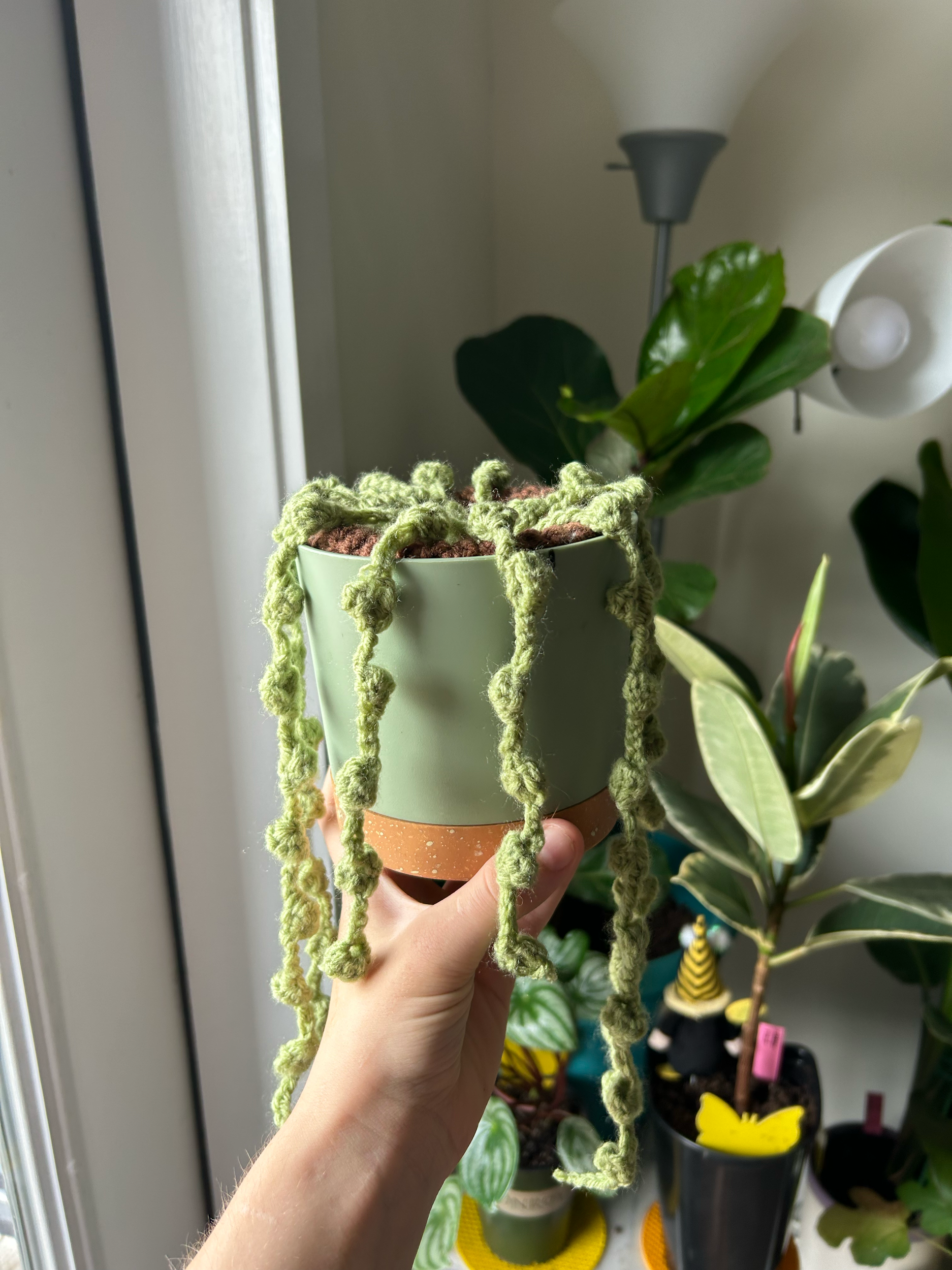 Indulging my creative side and combining my love for plants with my newer interest in crocheting!
