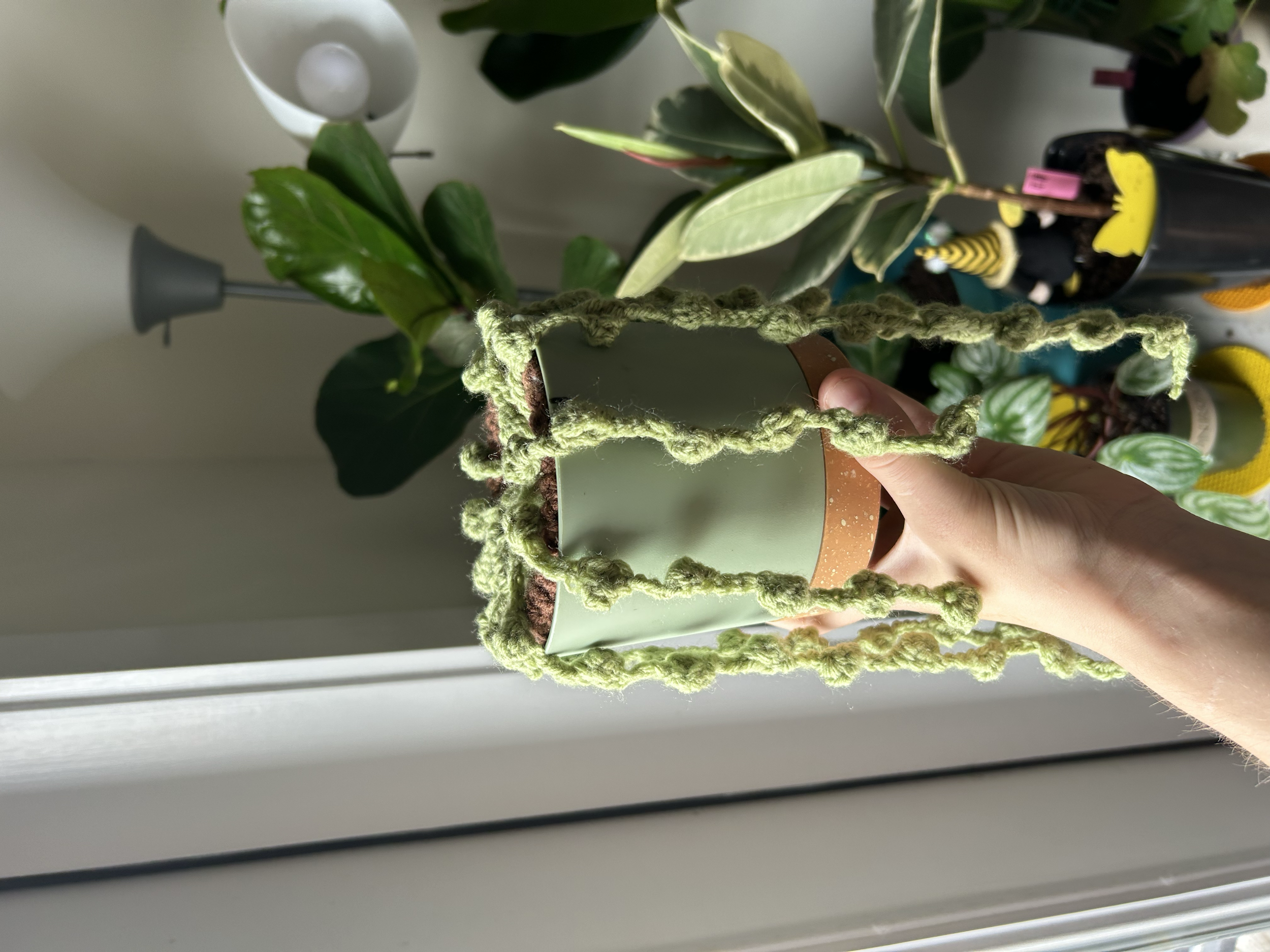 Indulging my creative side and combining my love for plants with my newer interest in crocheting!