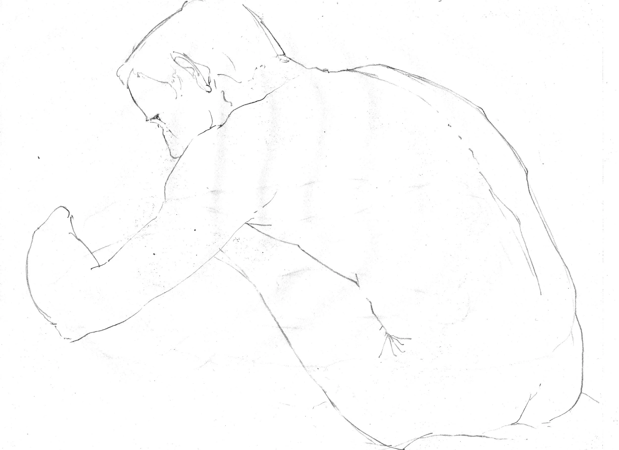 Scan+53.jpg