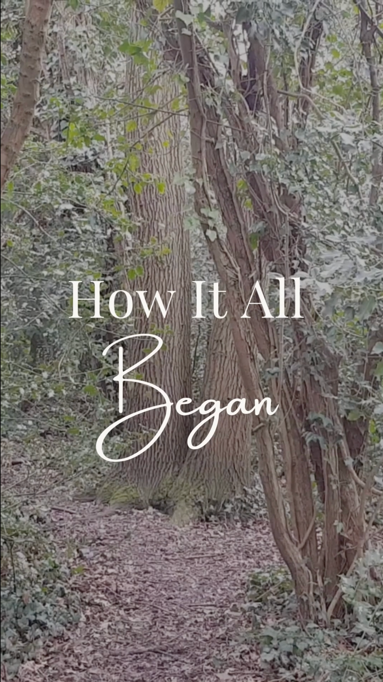 How It All Began - Highlights of the sloth in you video with Atticus the sloth acting out the poem and his journey of self discovery
