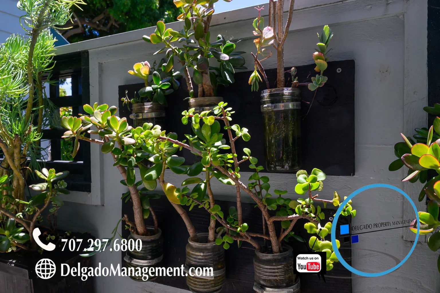 Plants growing in glass jars mounted on a wall, with signage for Delgado Property Management and a YouTube logo.