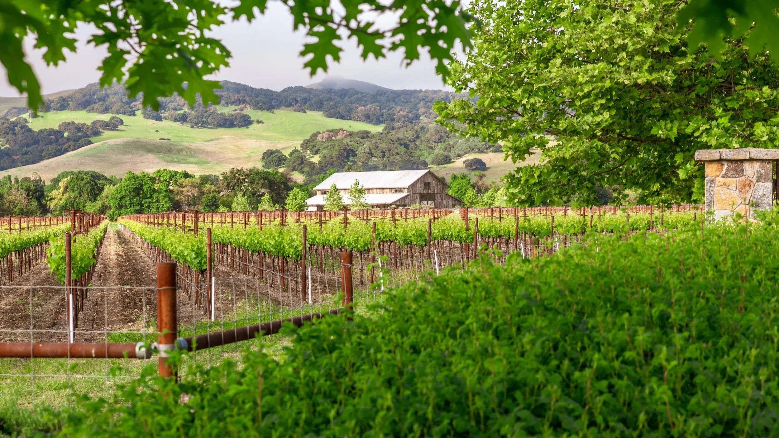 Why Solano County Works for Bay Area Job Relocation
