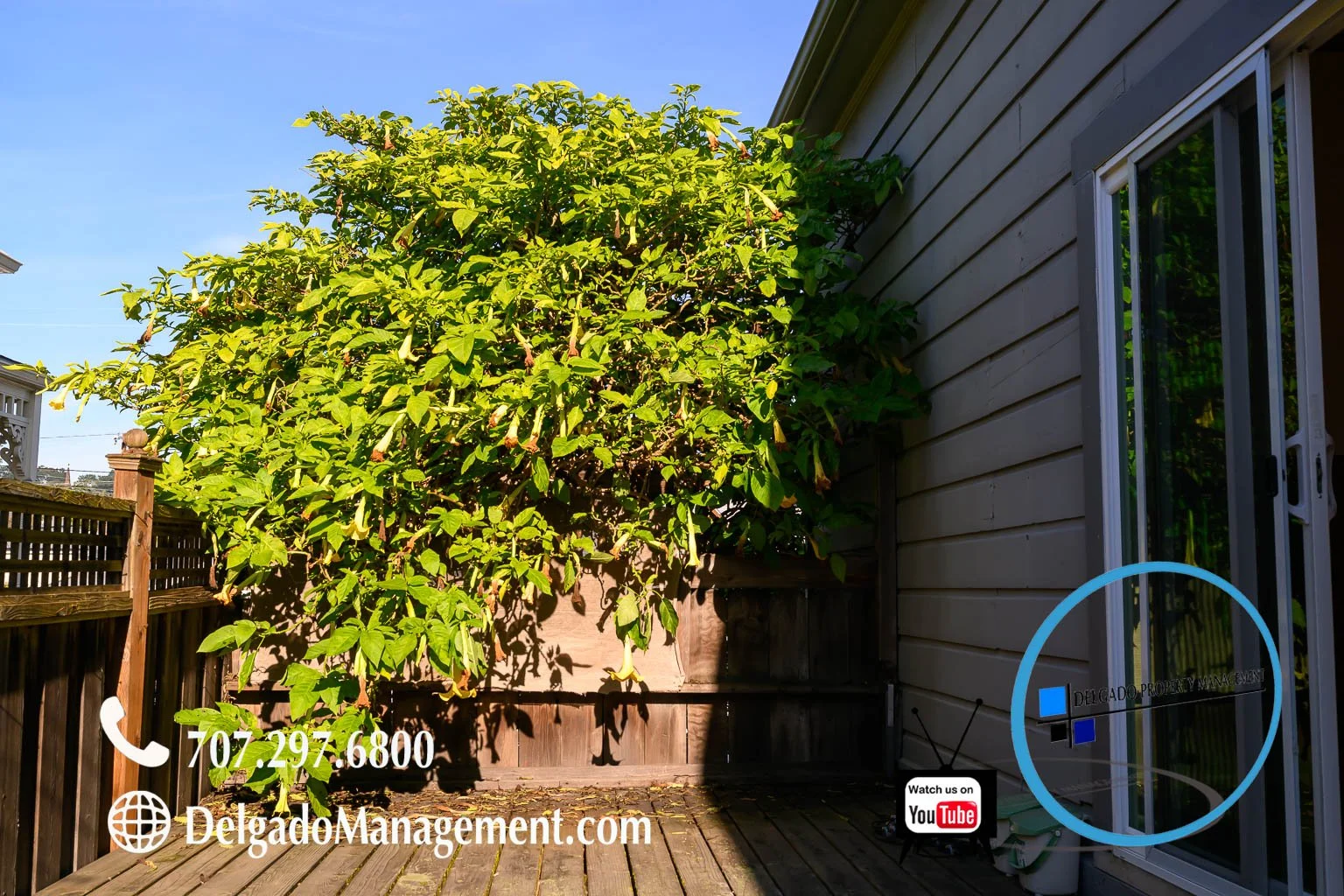 172 E G St Benicia - Benicia Property Management - Benicia rentals-31.jpg