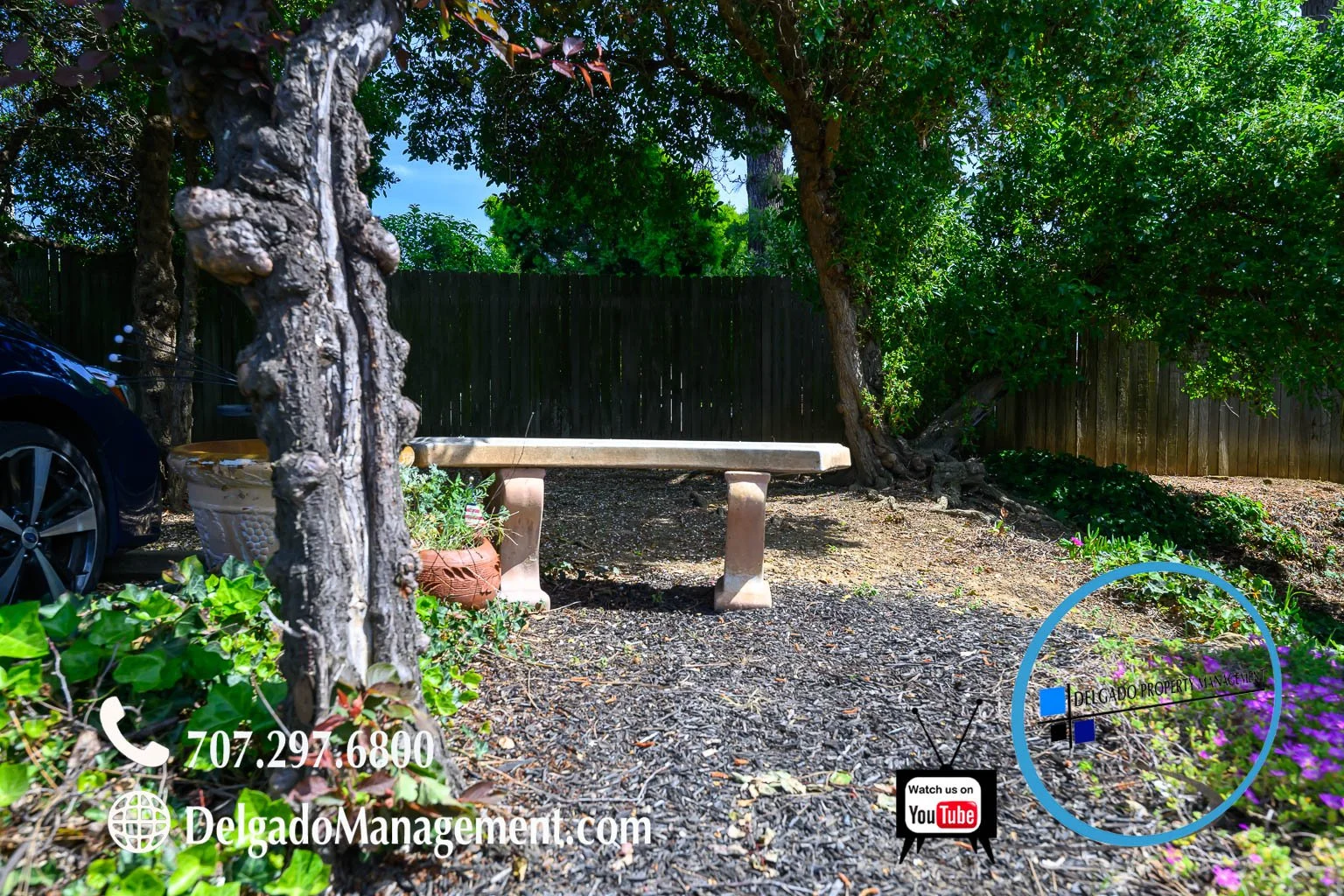 A backyard with a concrete bench, a planter with flowers, a large tree with twisted trunk, a black car on the left, a wooden fence in the background, and purple flowers on the right. Contact information and website for Delgado Management are overlaid