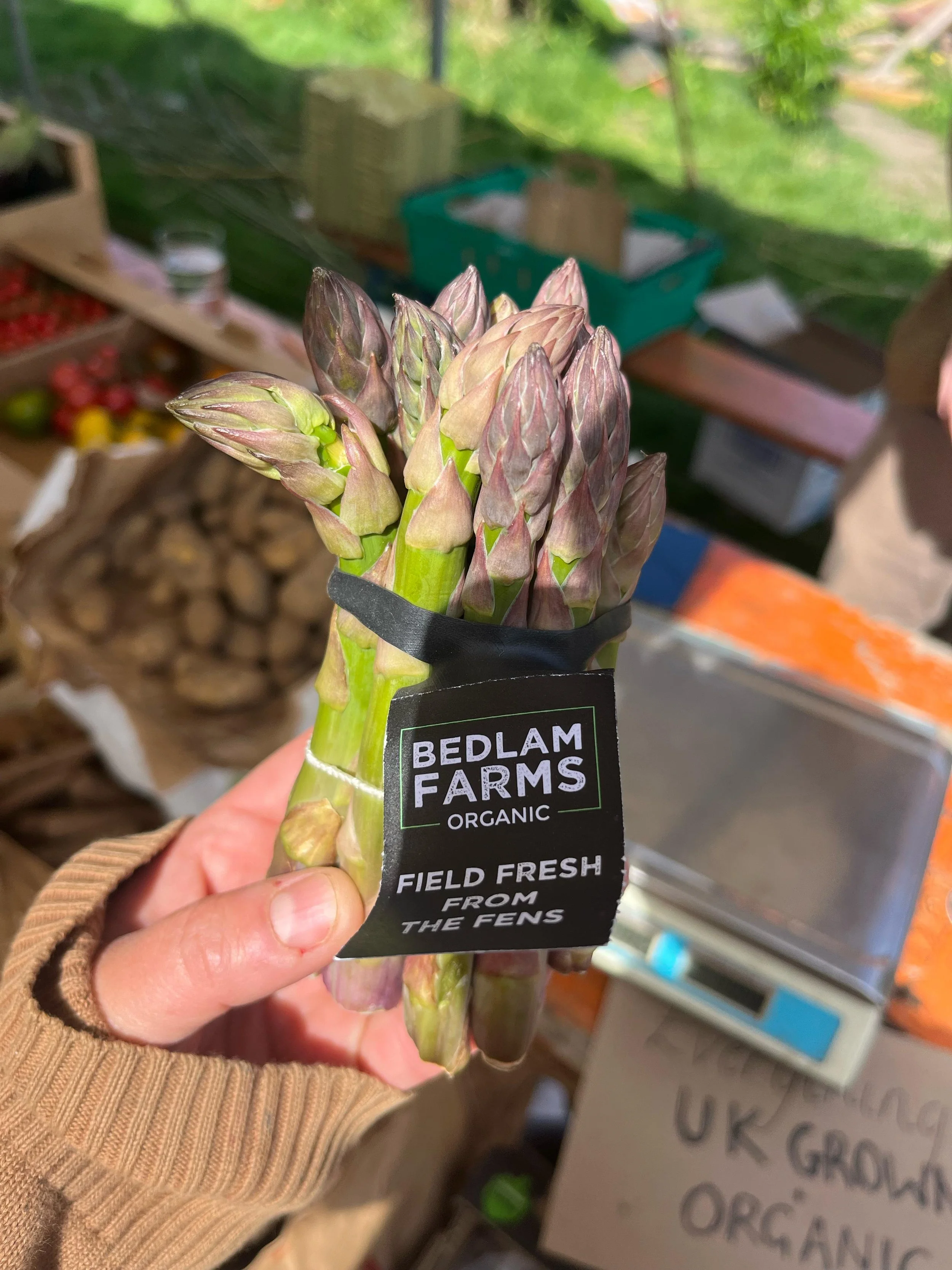 WhatsApp Image 2025-05-06 at 15.40.24.jpeg