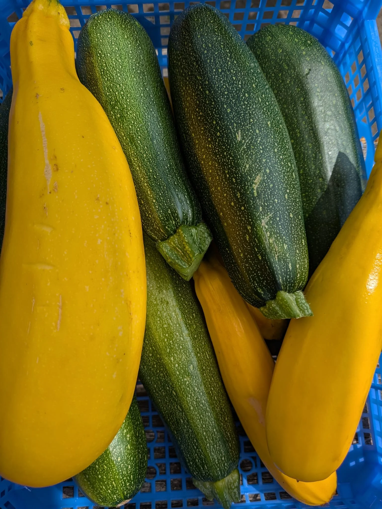 WhatsApp Image 2025-07-25 at 12.53.55.jpeg